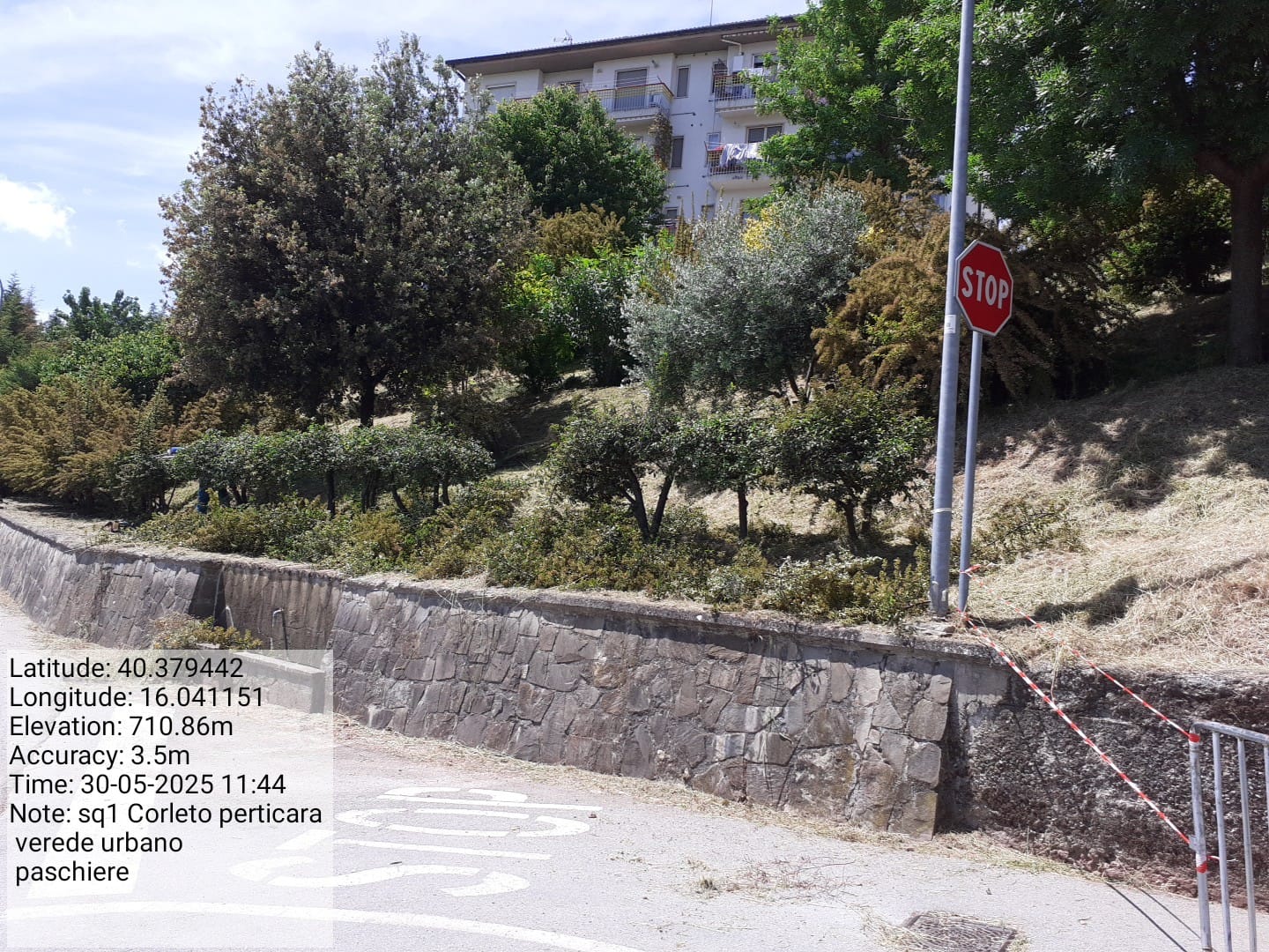 Galleria Fotografica Immagine