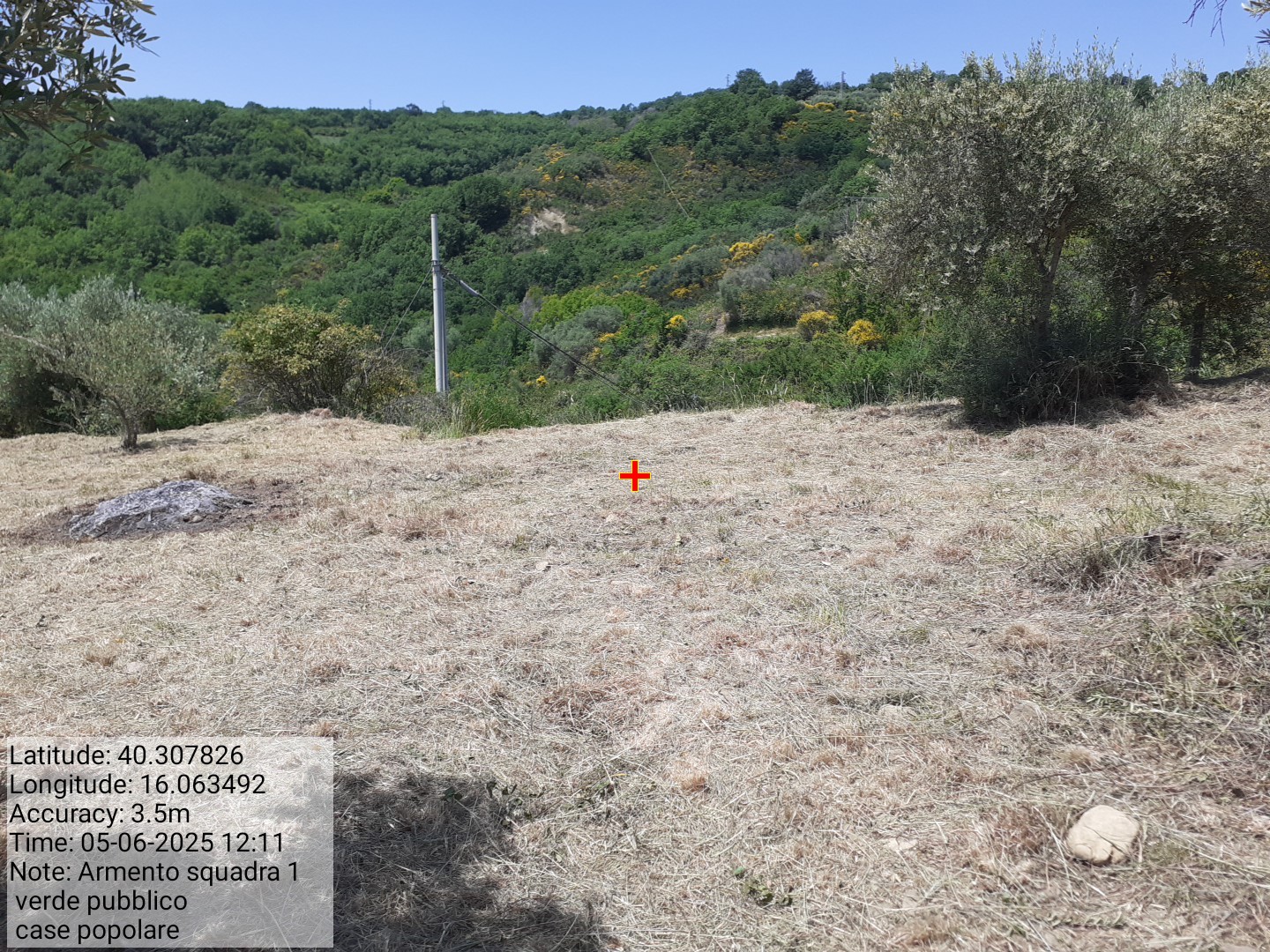 Galleria Fotografica Immagine