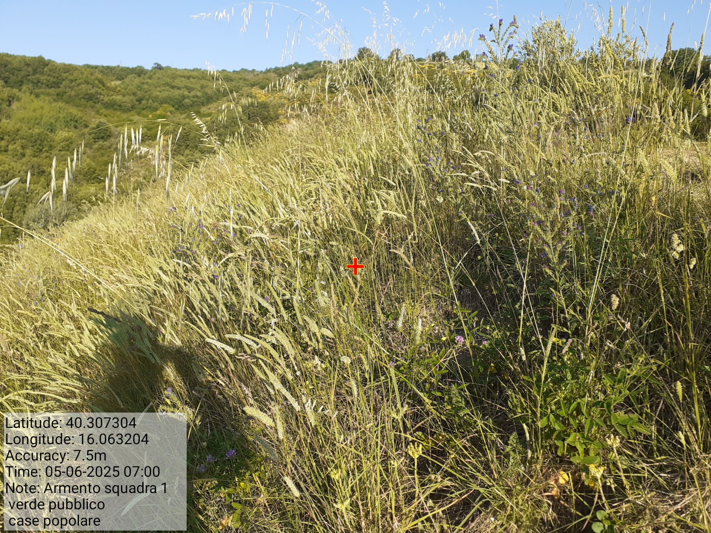 Galleria Fotografica Immagine