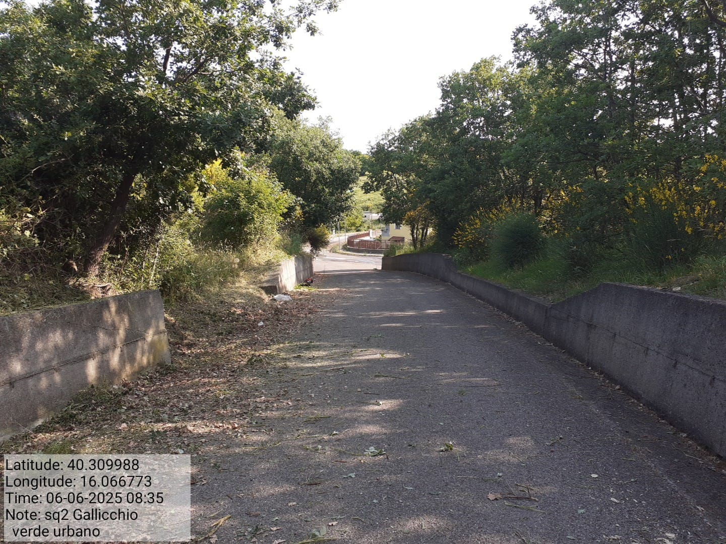 Galleria Fotografica Immagine