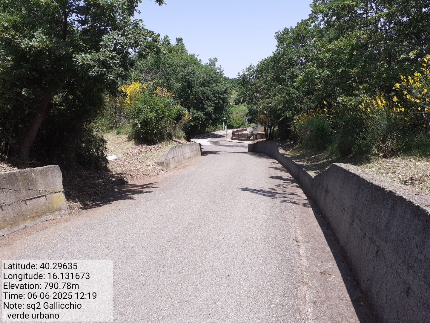 Galleria Fotografica Immagine