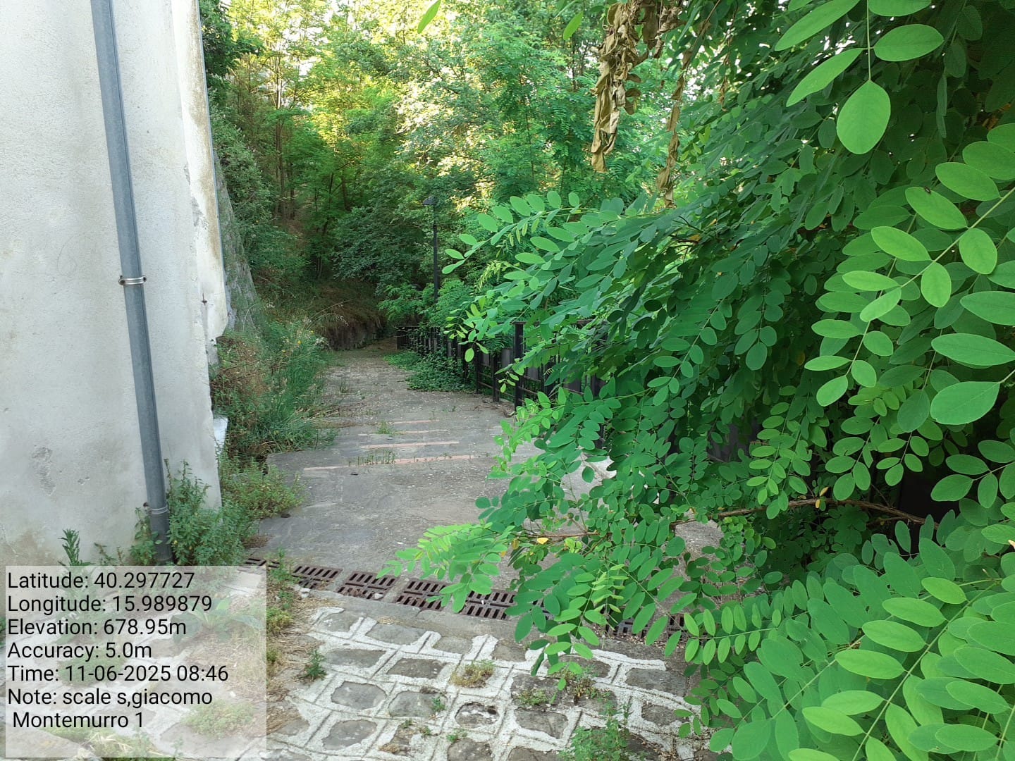 Galleria Fotografica Immagine