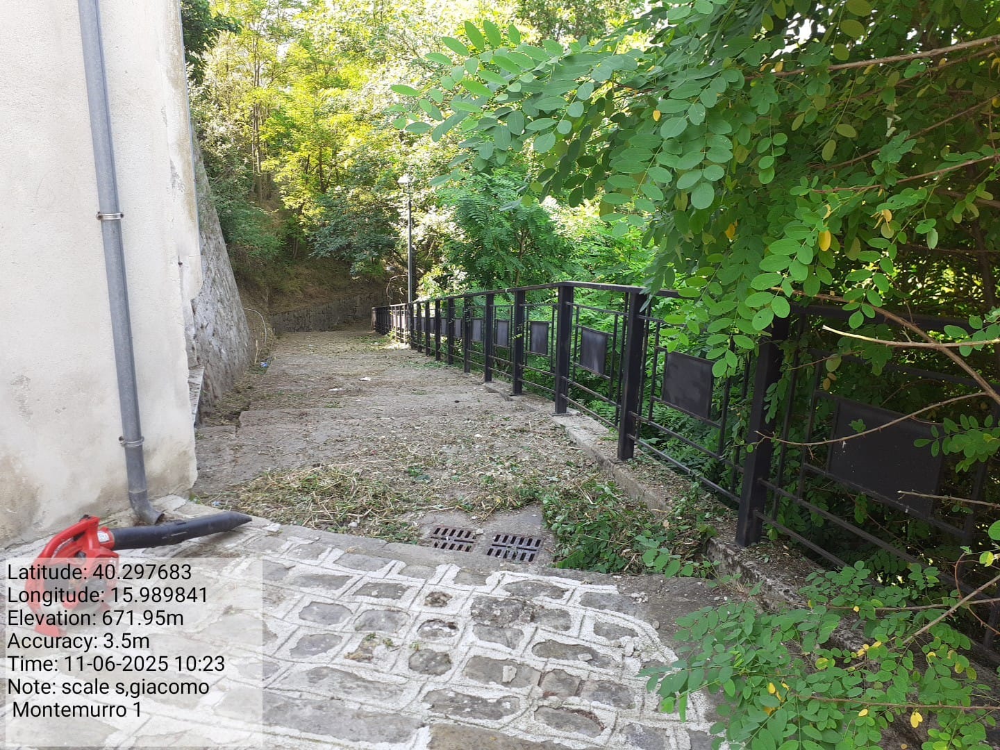 Galleria Fotografica Immagine