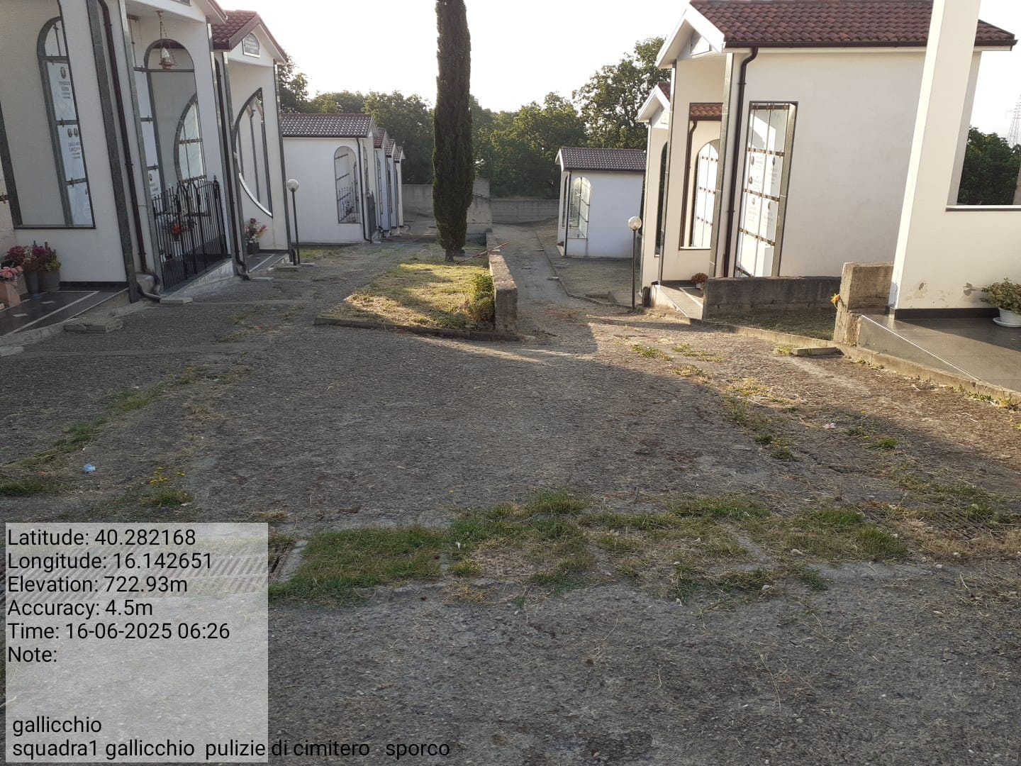 Galleria Fotografica Immagine