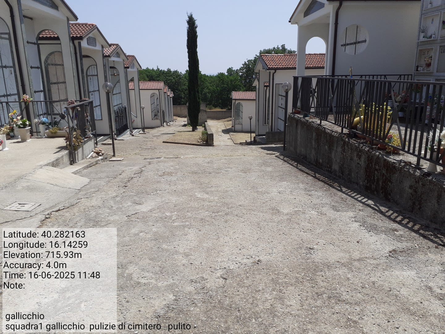 Galleria Fotografica Immagine