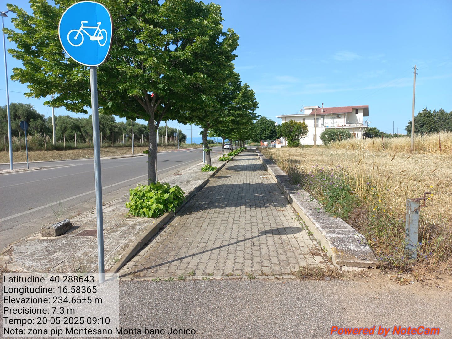 Galleria Fotografica Immagine