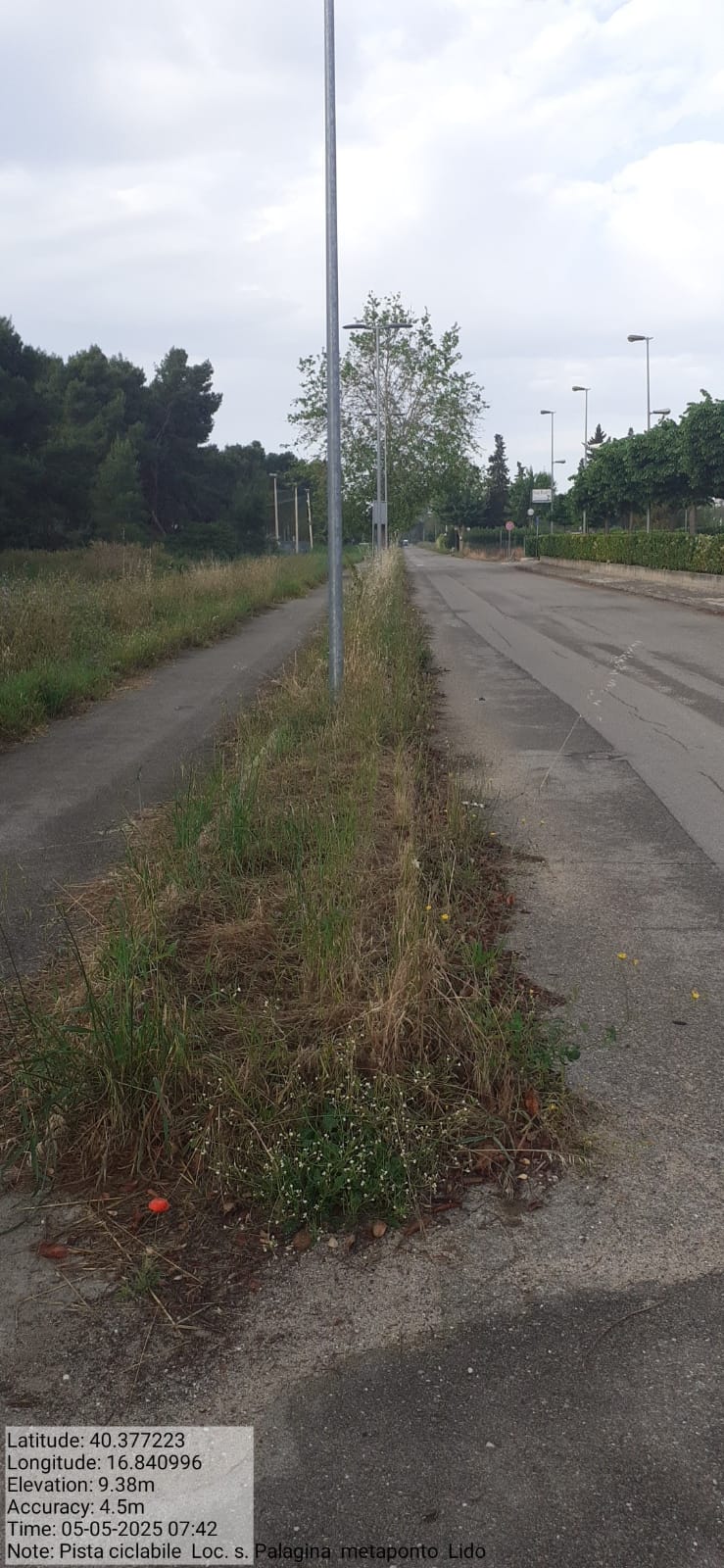 Galleria Fotografica Immagine