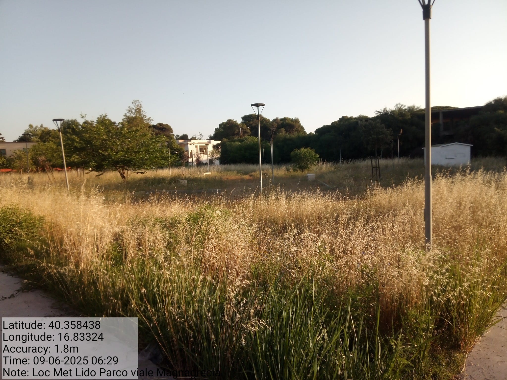 Galleria Fotografica Immagine