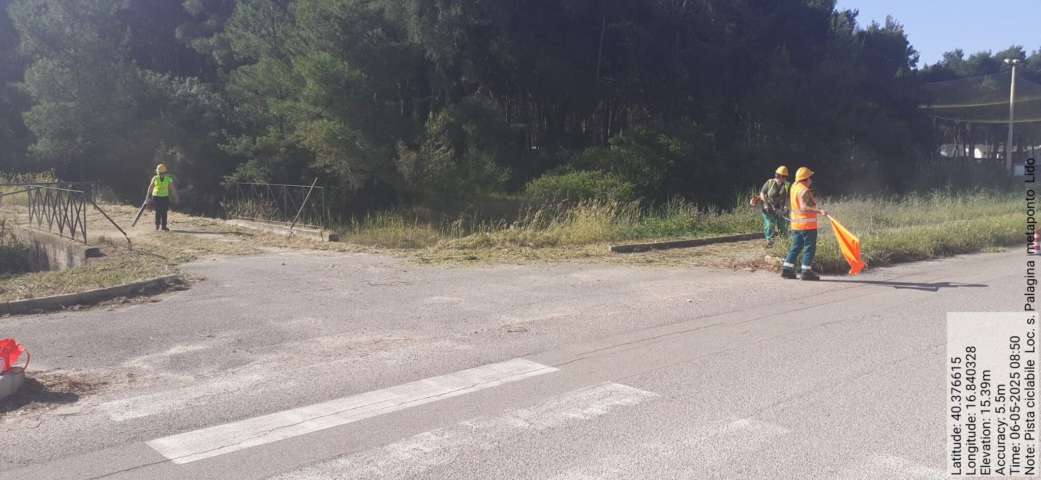 Galleria Fotografica Immagine