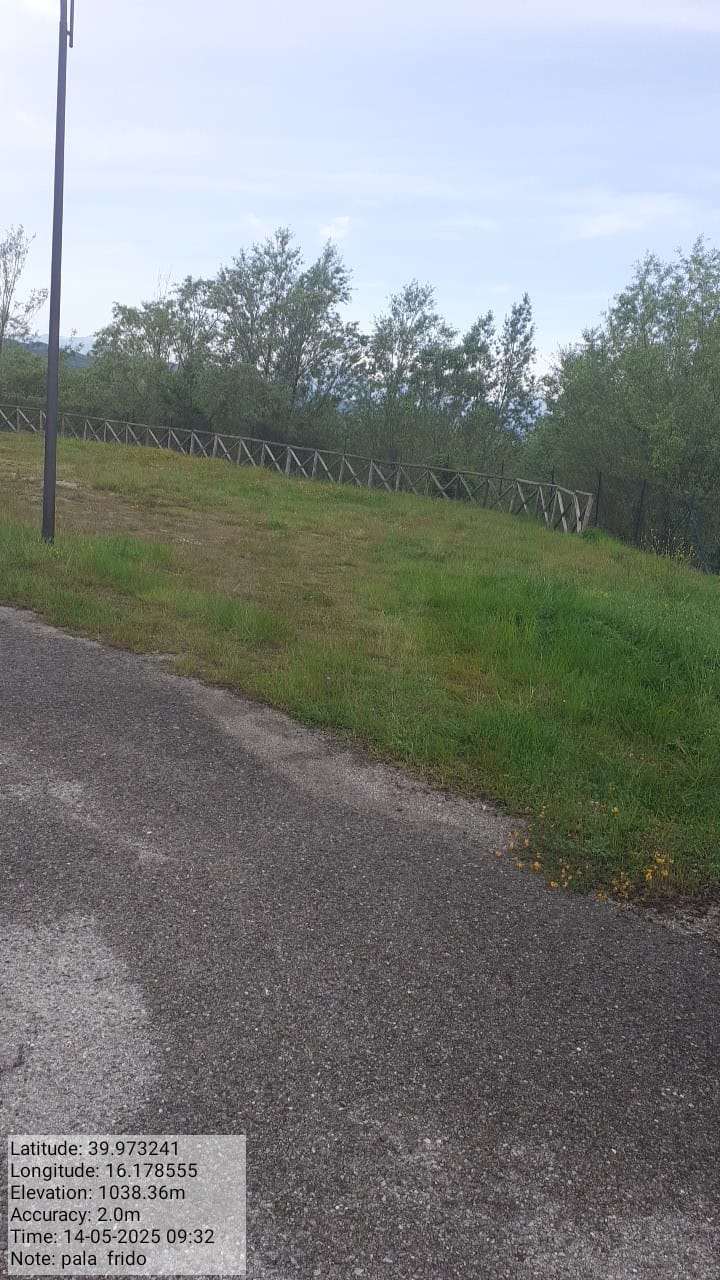 Galleria Fotografica Immagine