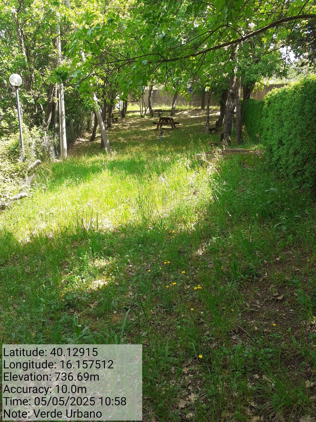 Galleria Fotografica Immagine