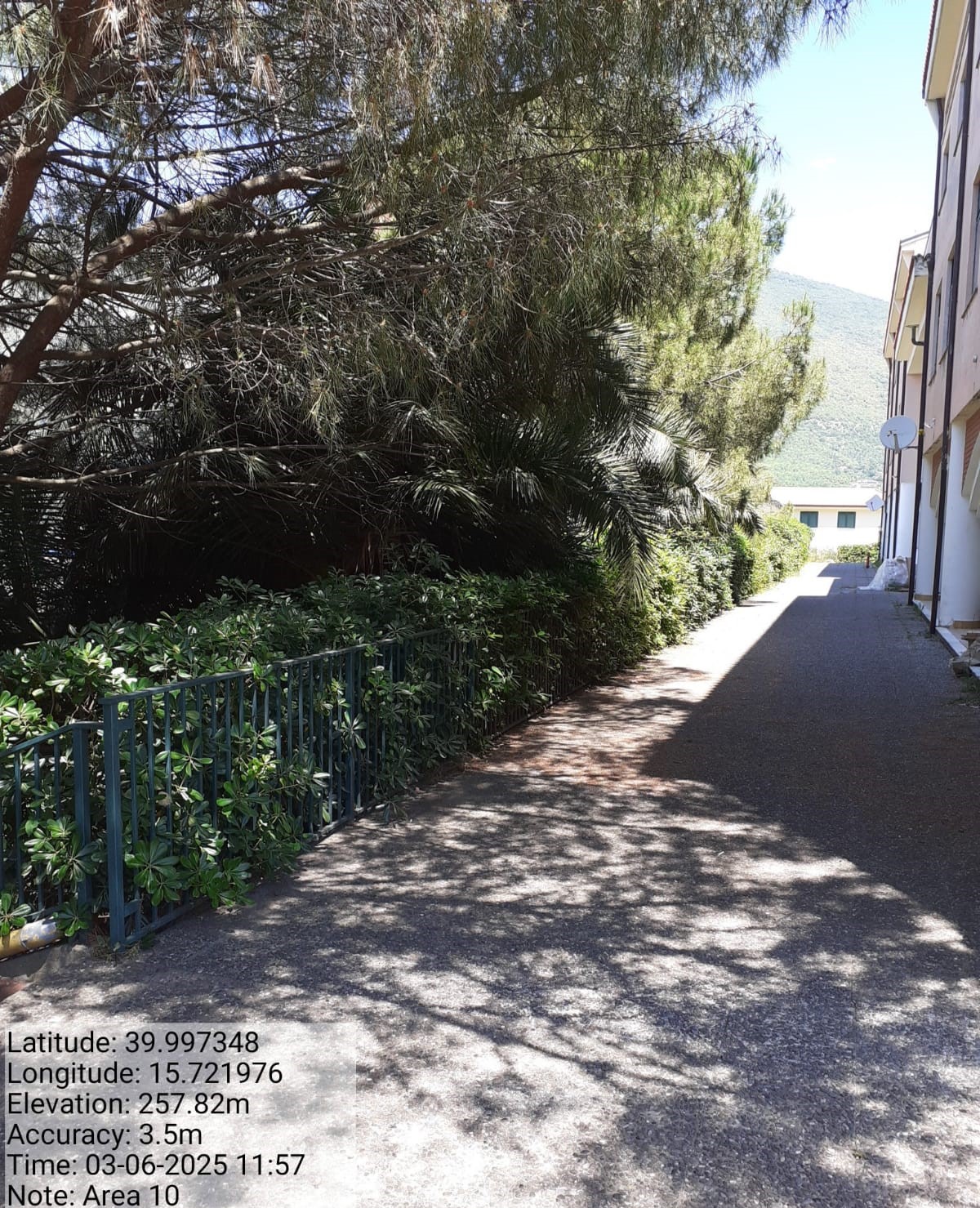 Galleria Fotografica Immagine