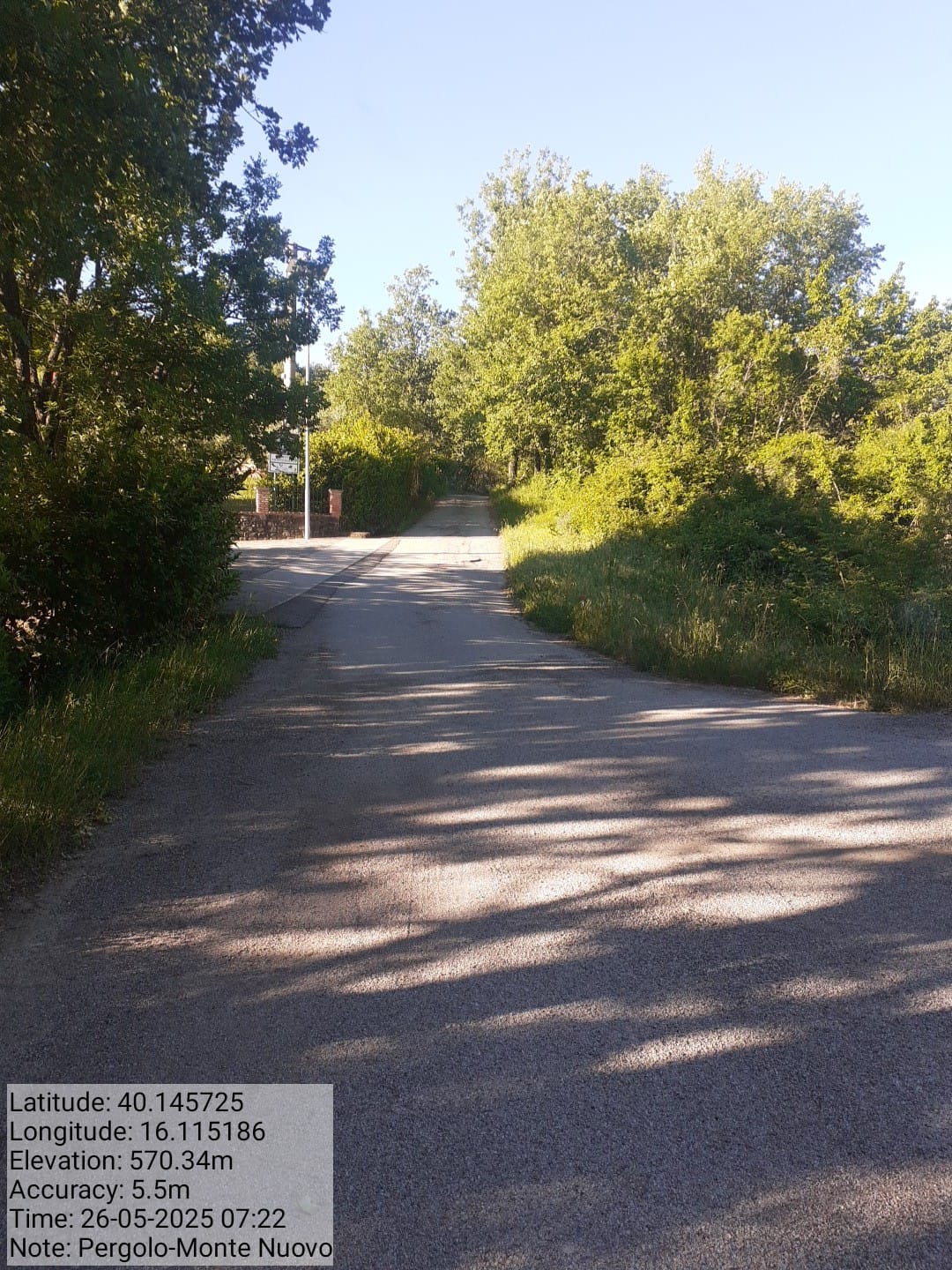 Galleria Fotografica Immagine