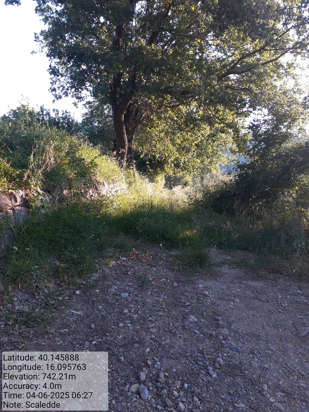 Galleria Fotografica Immagine