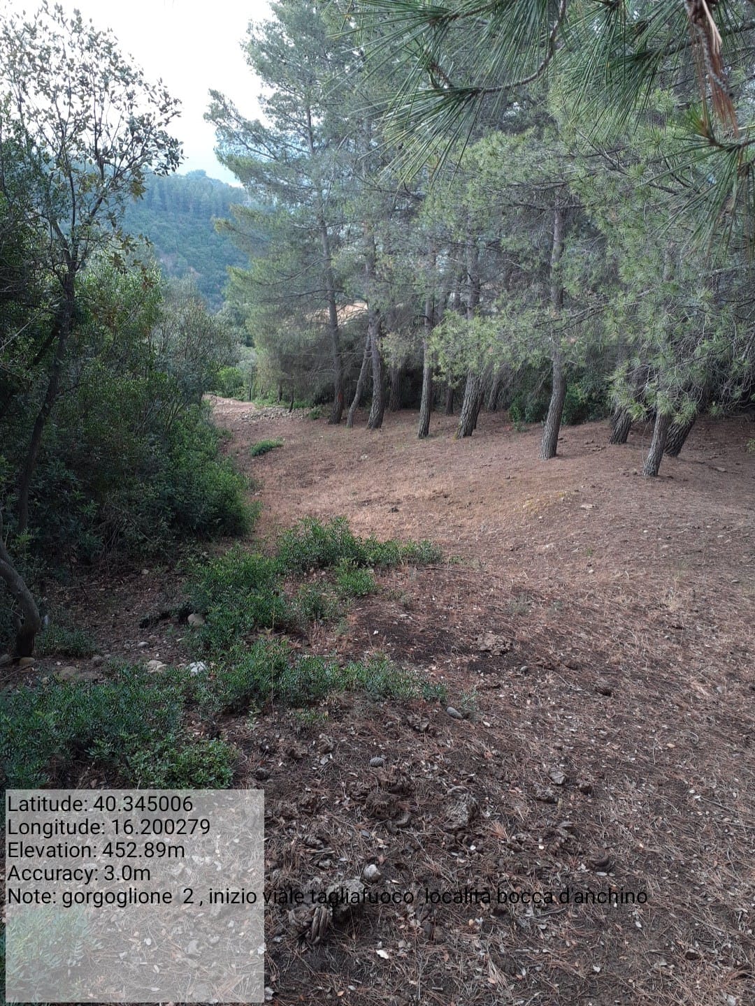 Galleria Fotografica Immagine