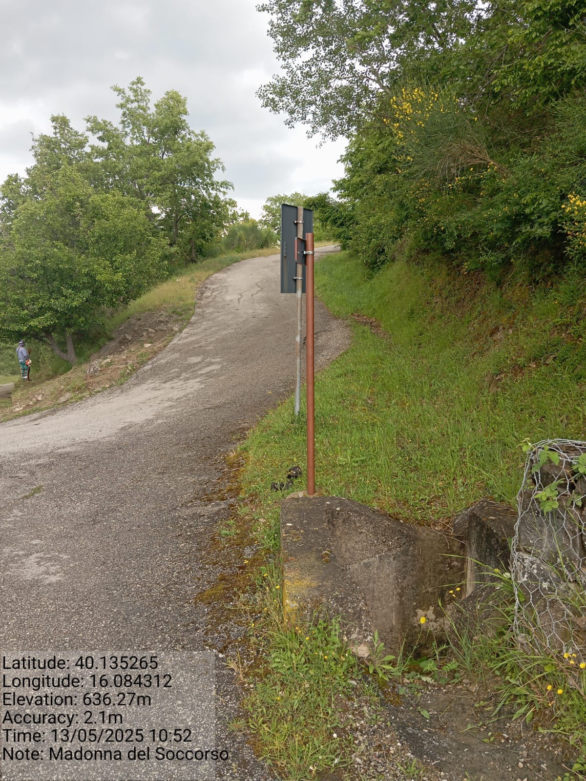 Galleria Fotografica Immagine