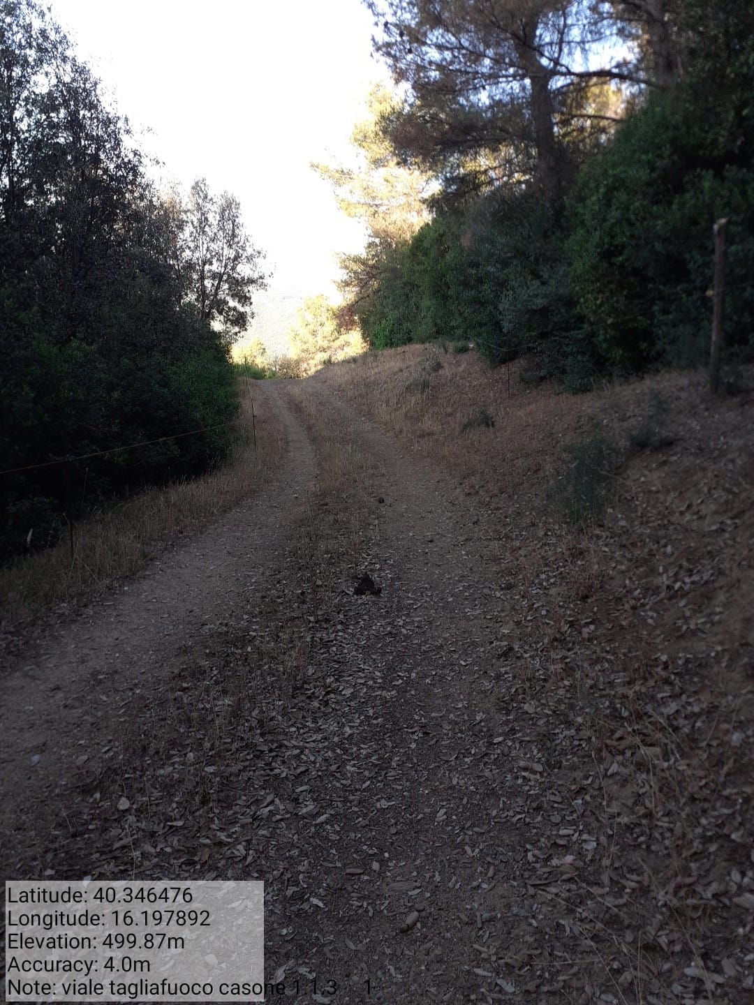 Galleria Fotografica Immagine