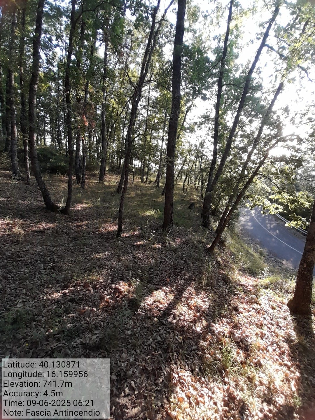 Galleria Fotografica Immagine