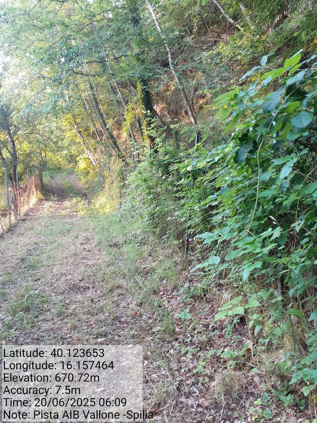 Galleria Fotografica Immagine