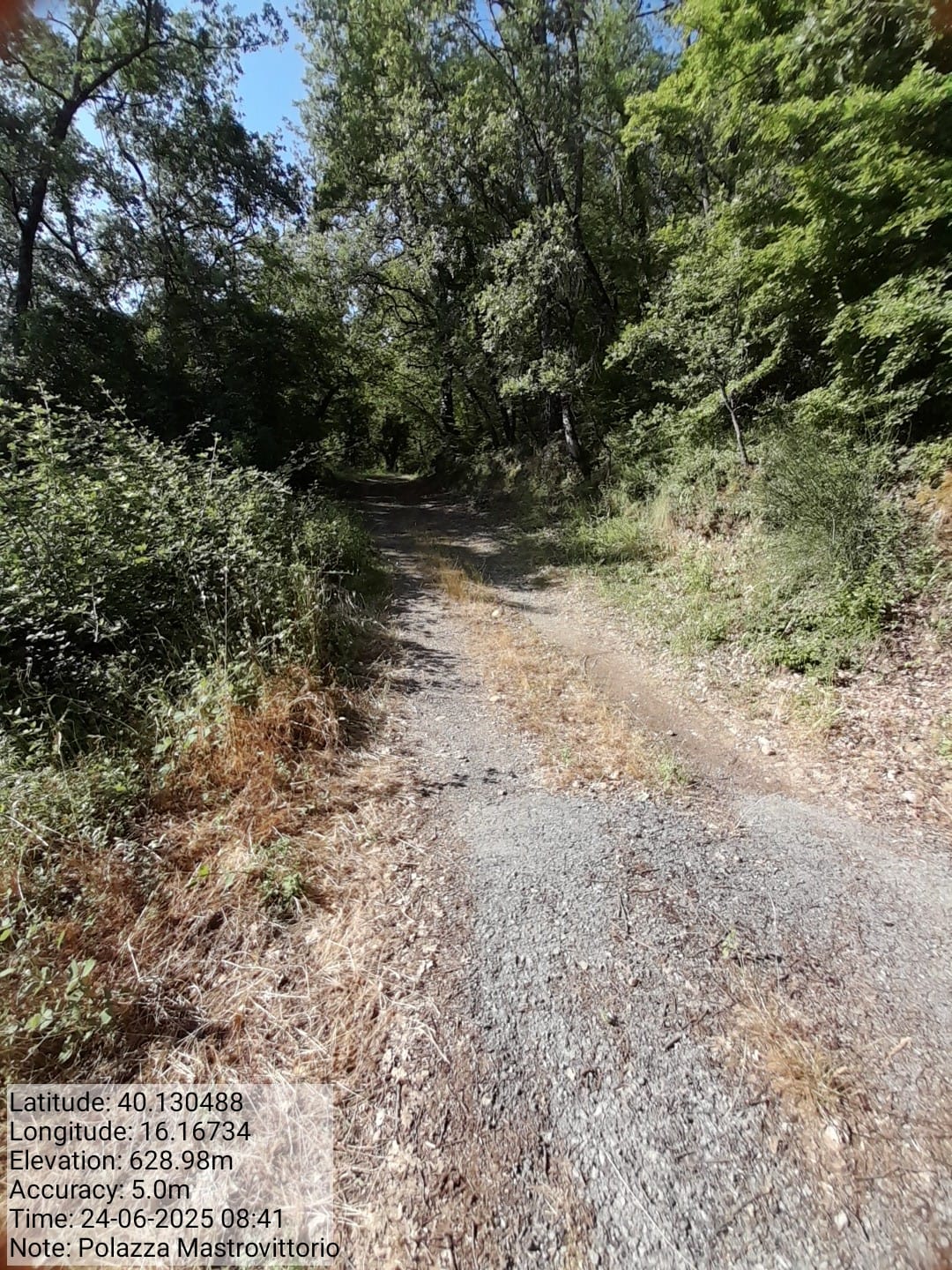 Galleria Fotografica Immagine