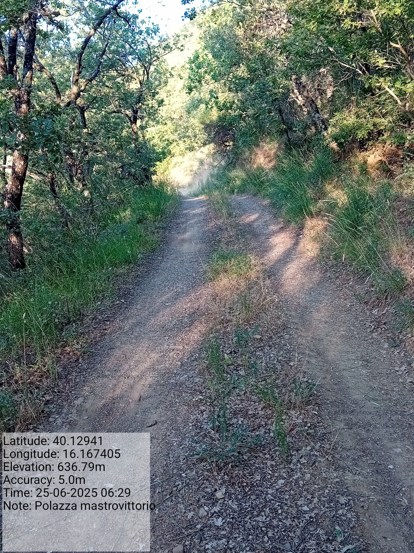 Galleria Fotografica Immagine