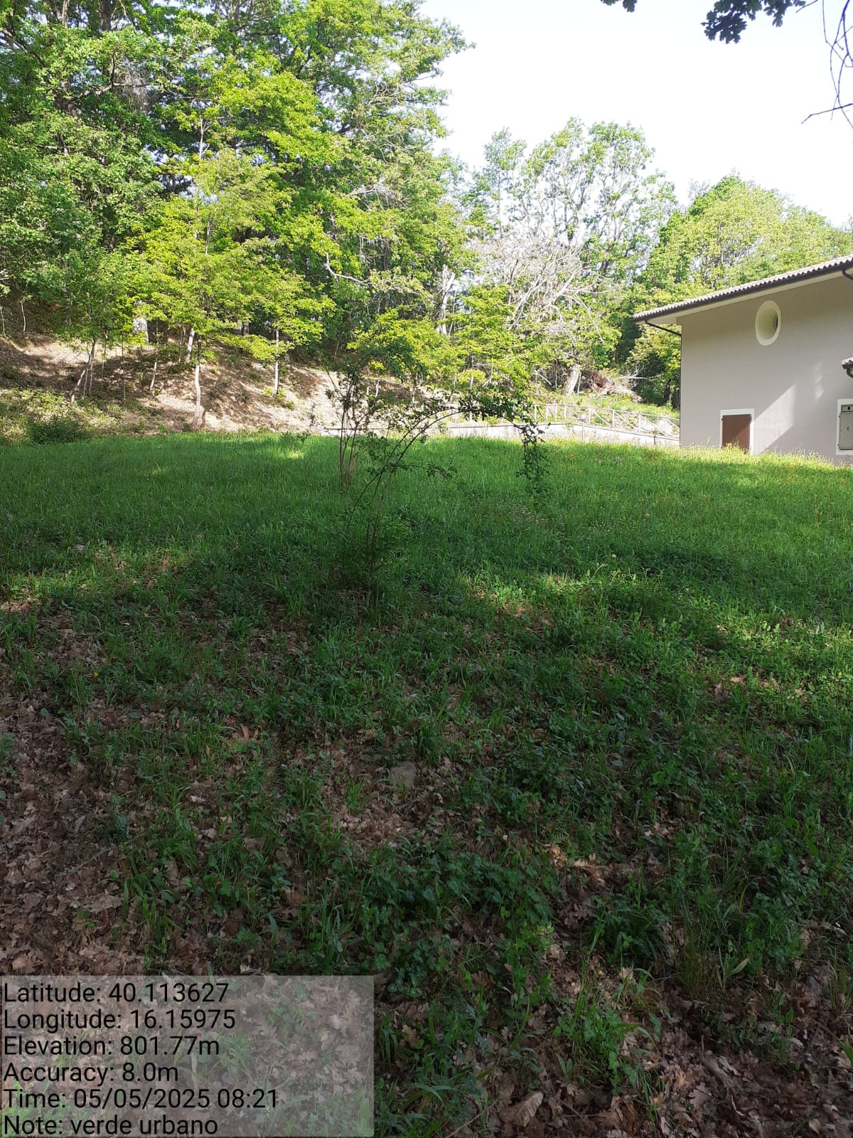 Galleria Fotografica Immagine