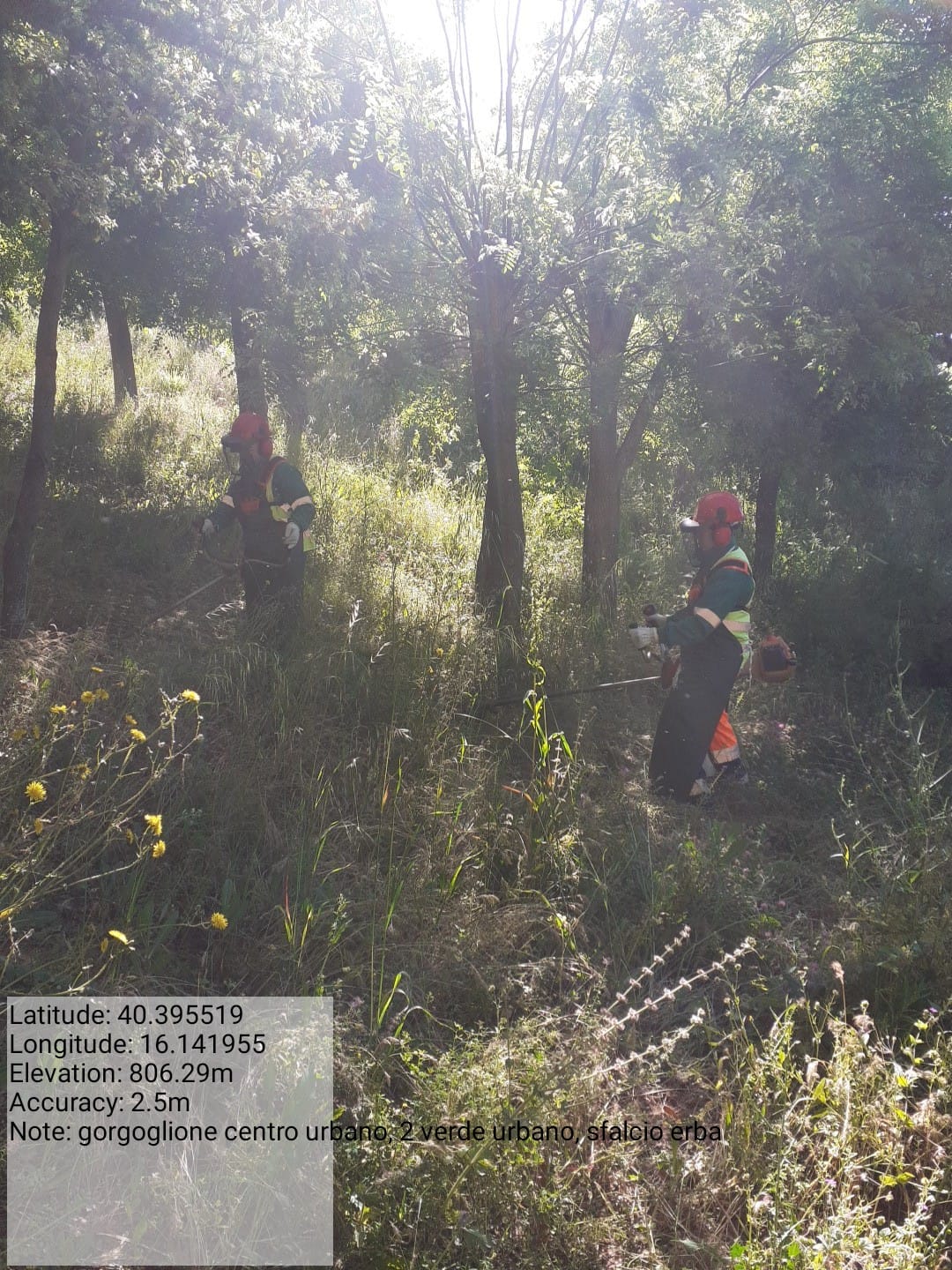 Galleria Fotografica Immagine