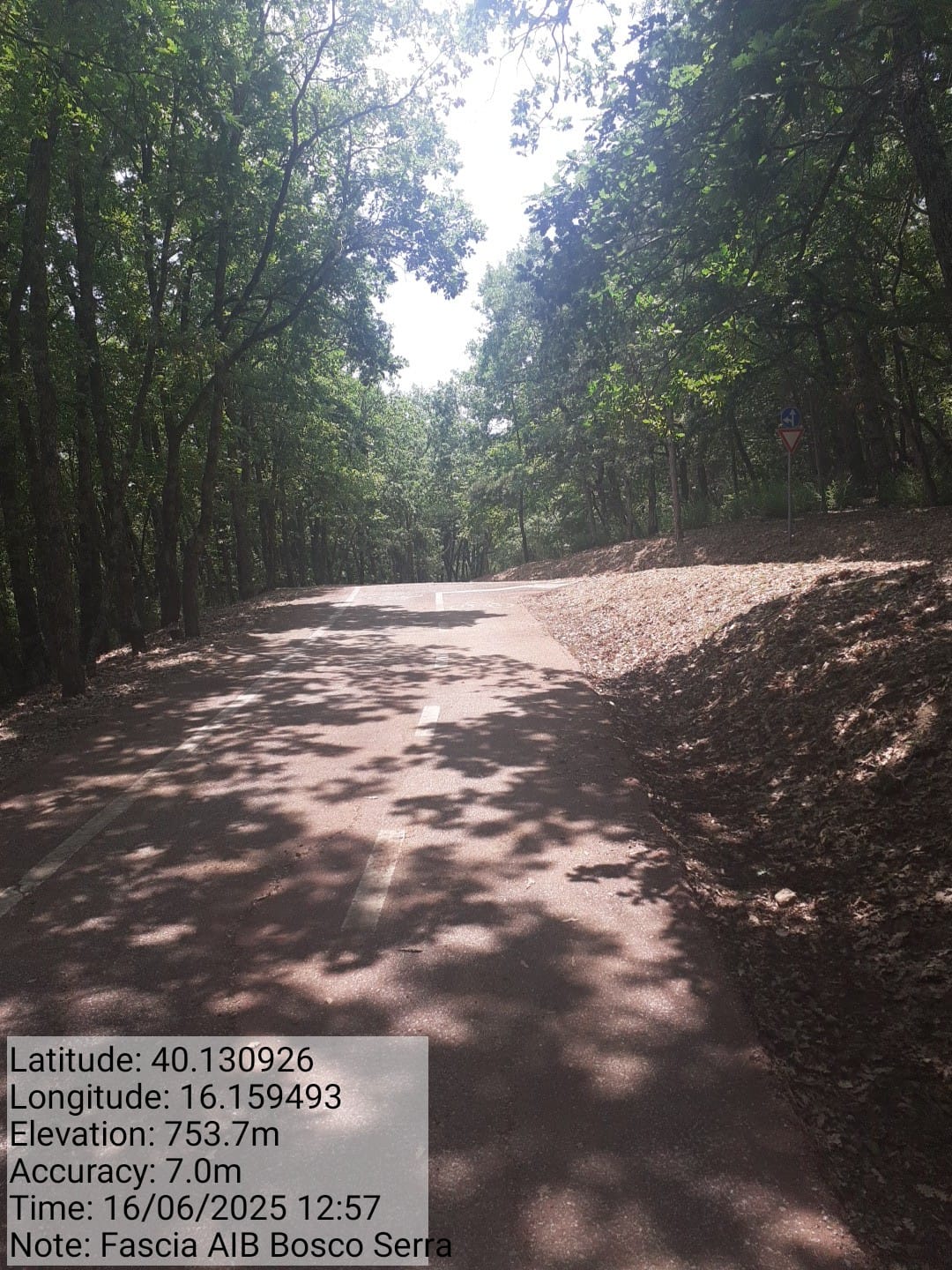 Galleria Fotografica Immagine