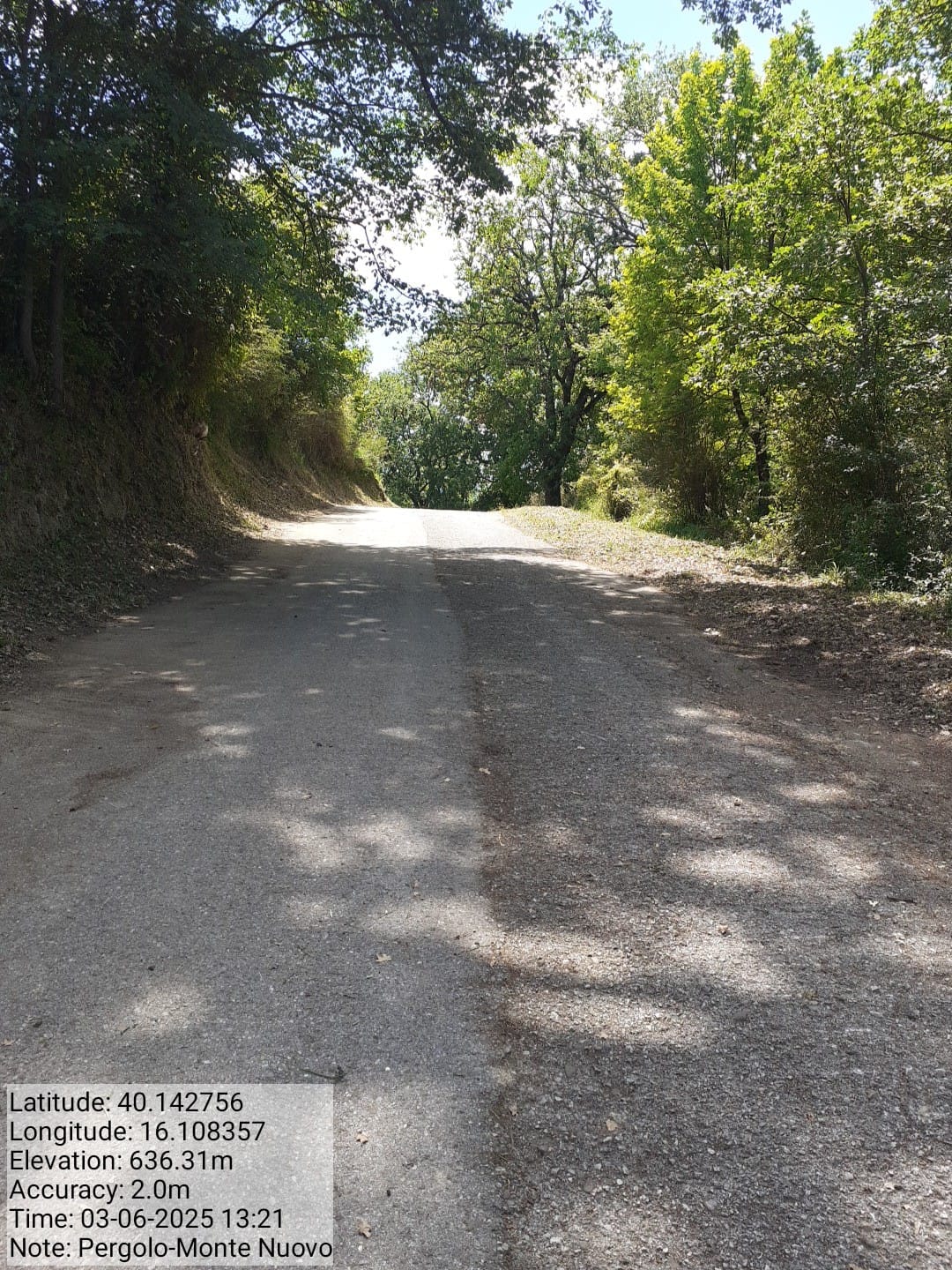 Galleria Fotografica Immagine