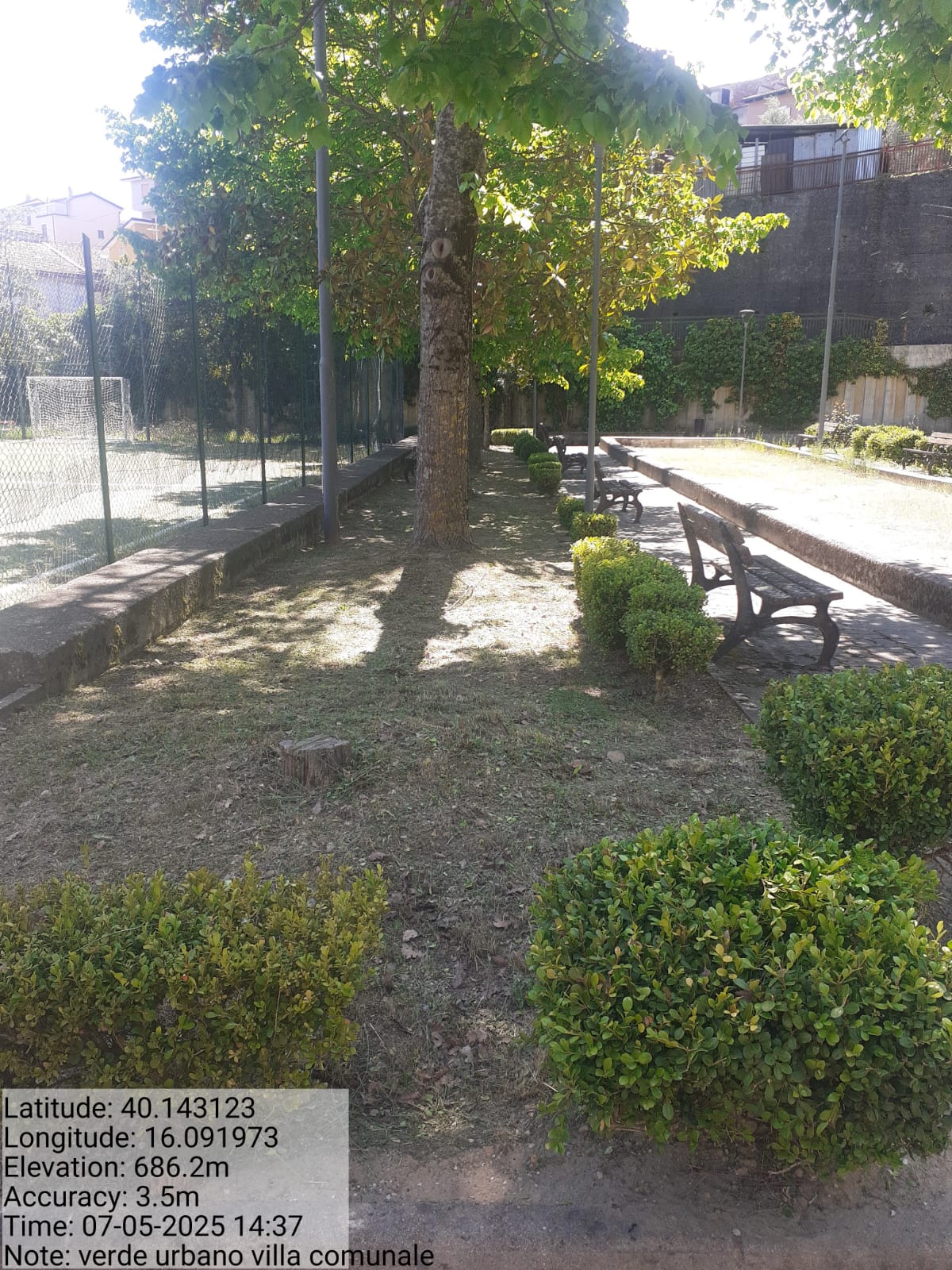 Galleria Fotografica Immagine