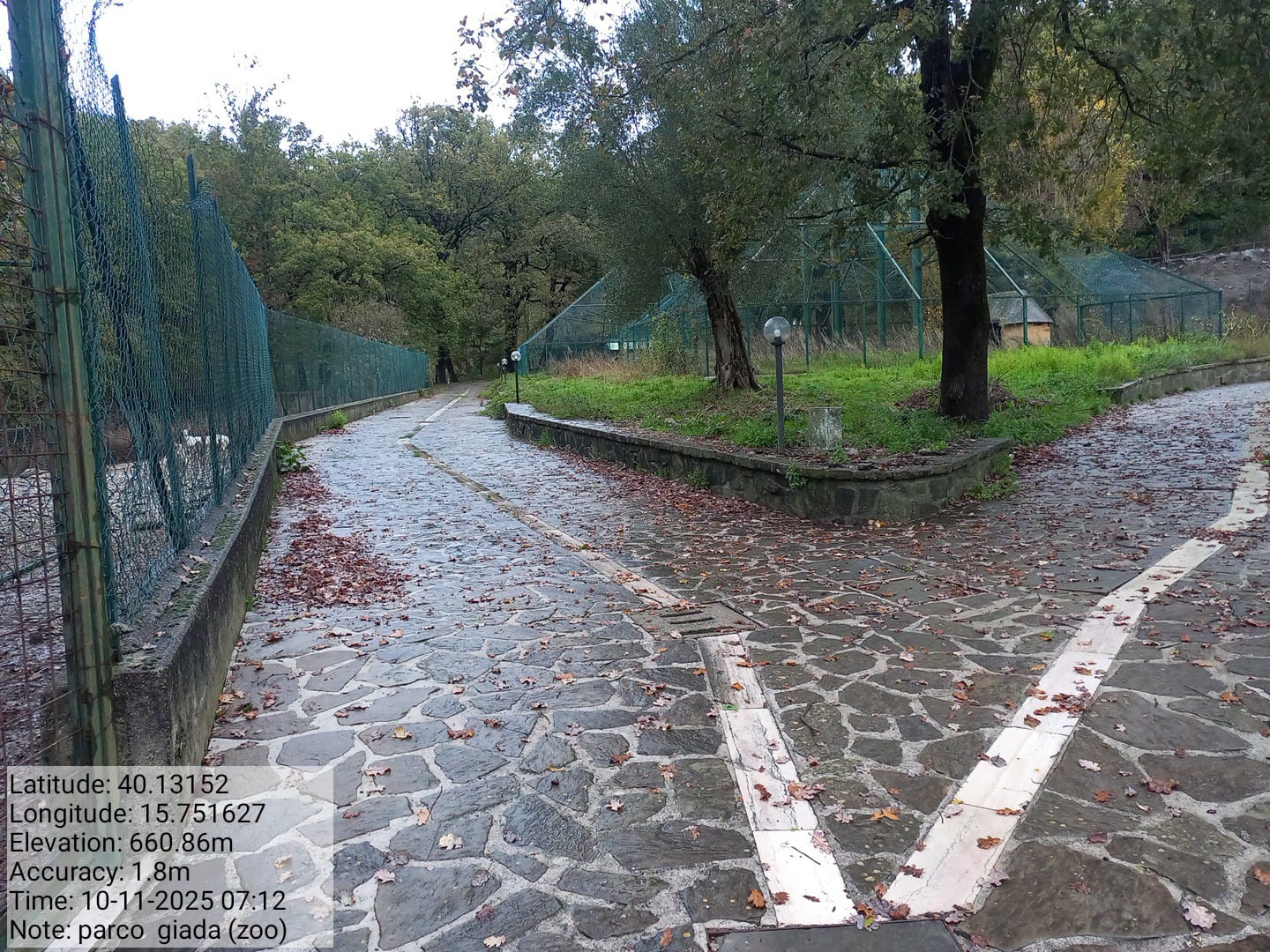 Galleria Fotografica Immagine