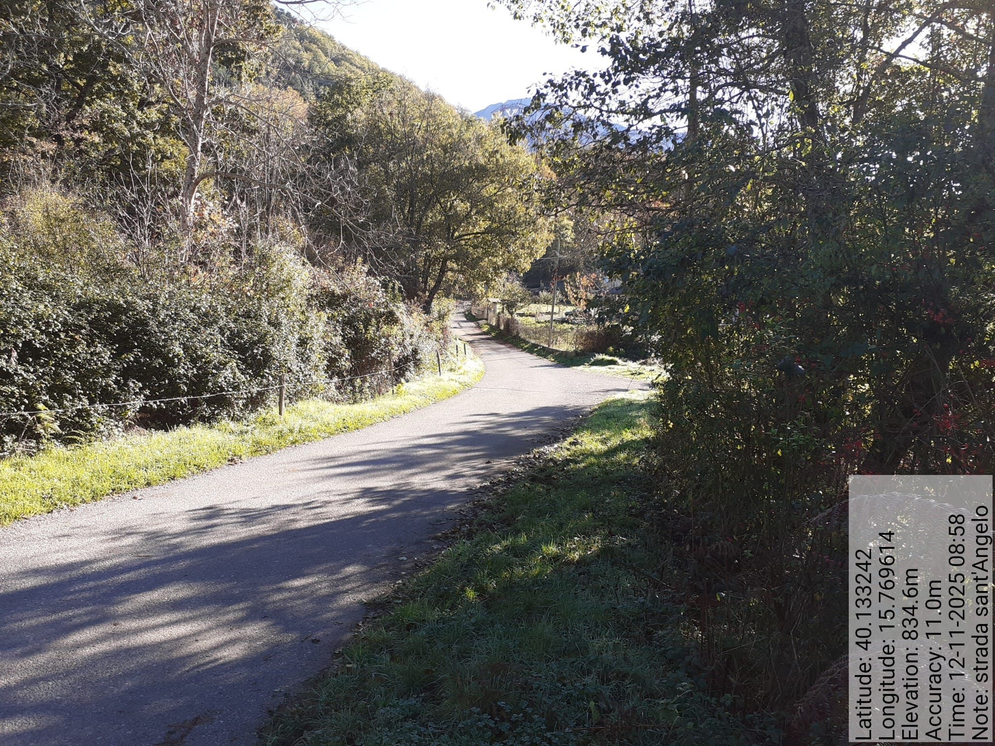 Galleria Fotografica Immagine