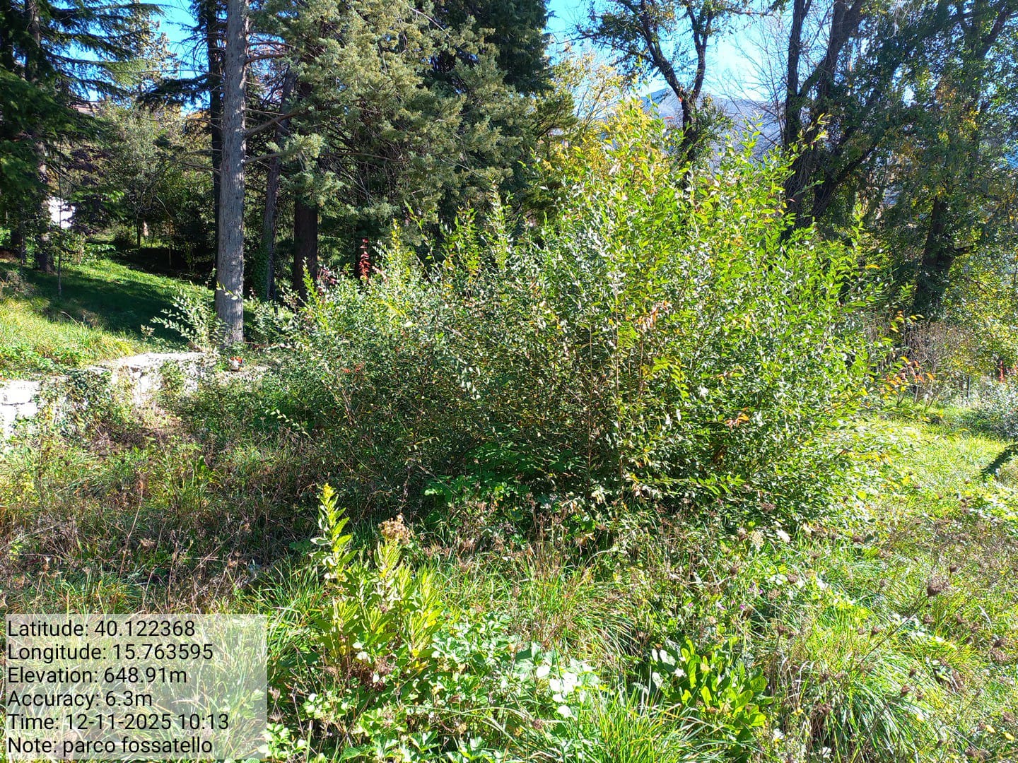 Galleria Fotografica Immagine