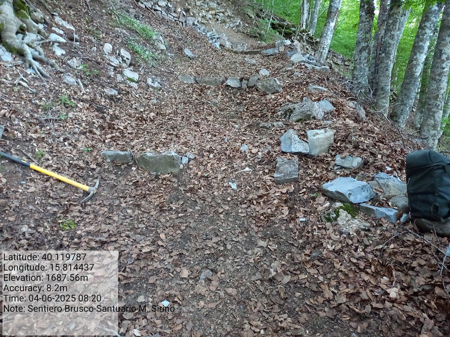 Galleria Fotografica Immagine