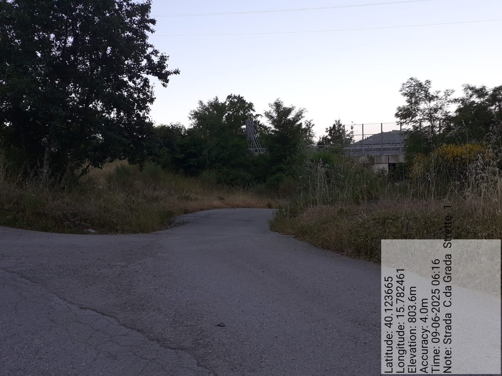 Galleria Fotografica Immagine