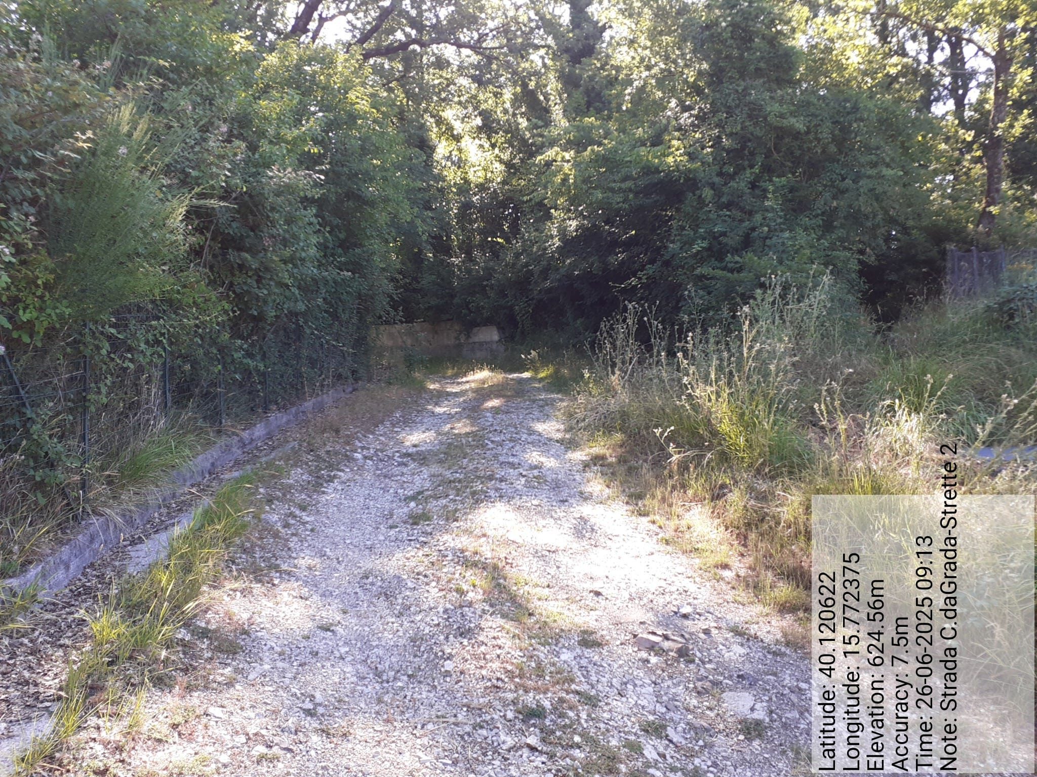 Galleria Fotografica Immagine