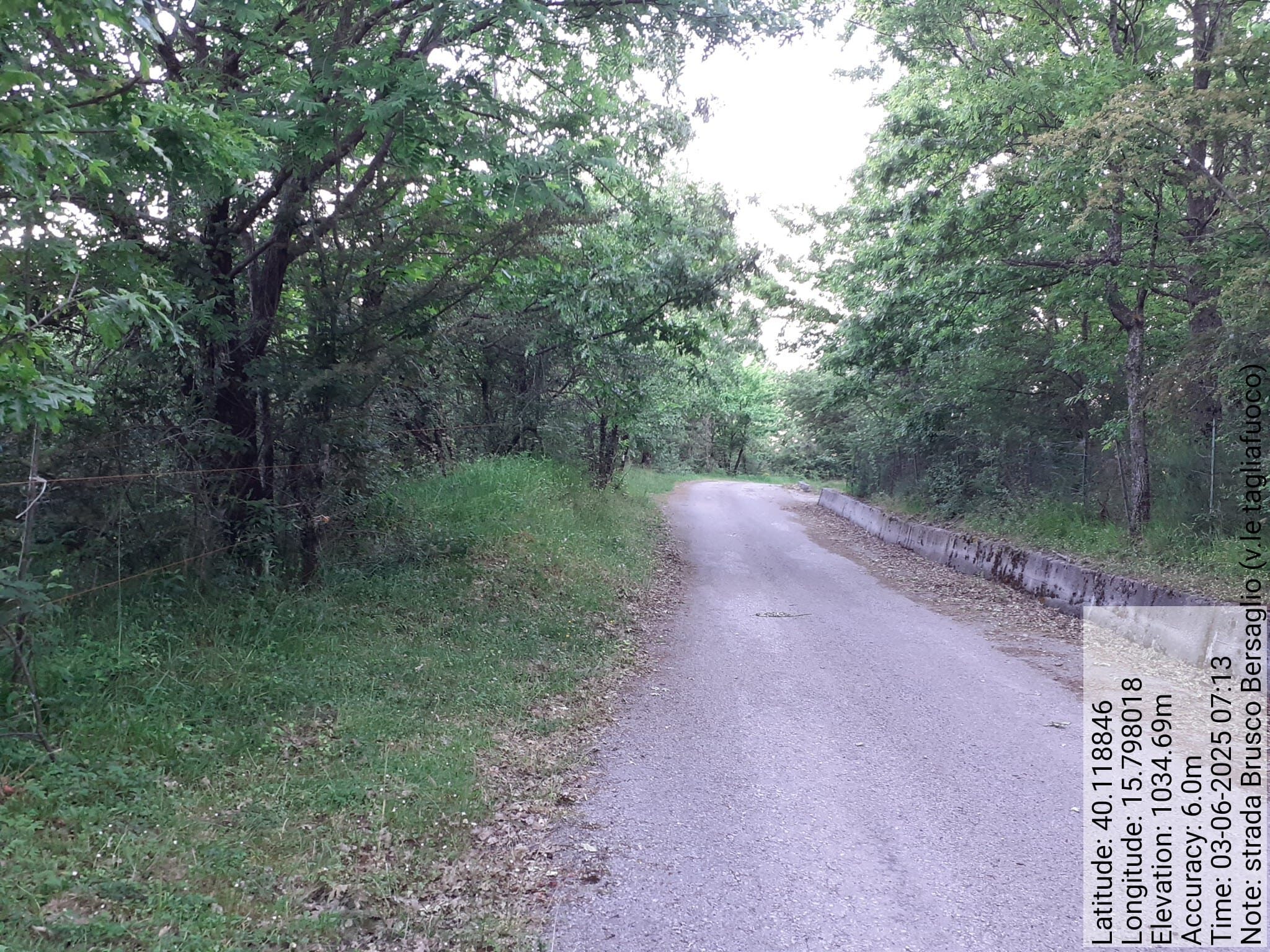 Galleria Fotografica Immagine