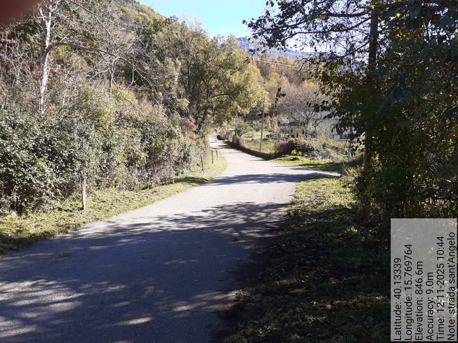 Galleria Fotografica Immagine