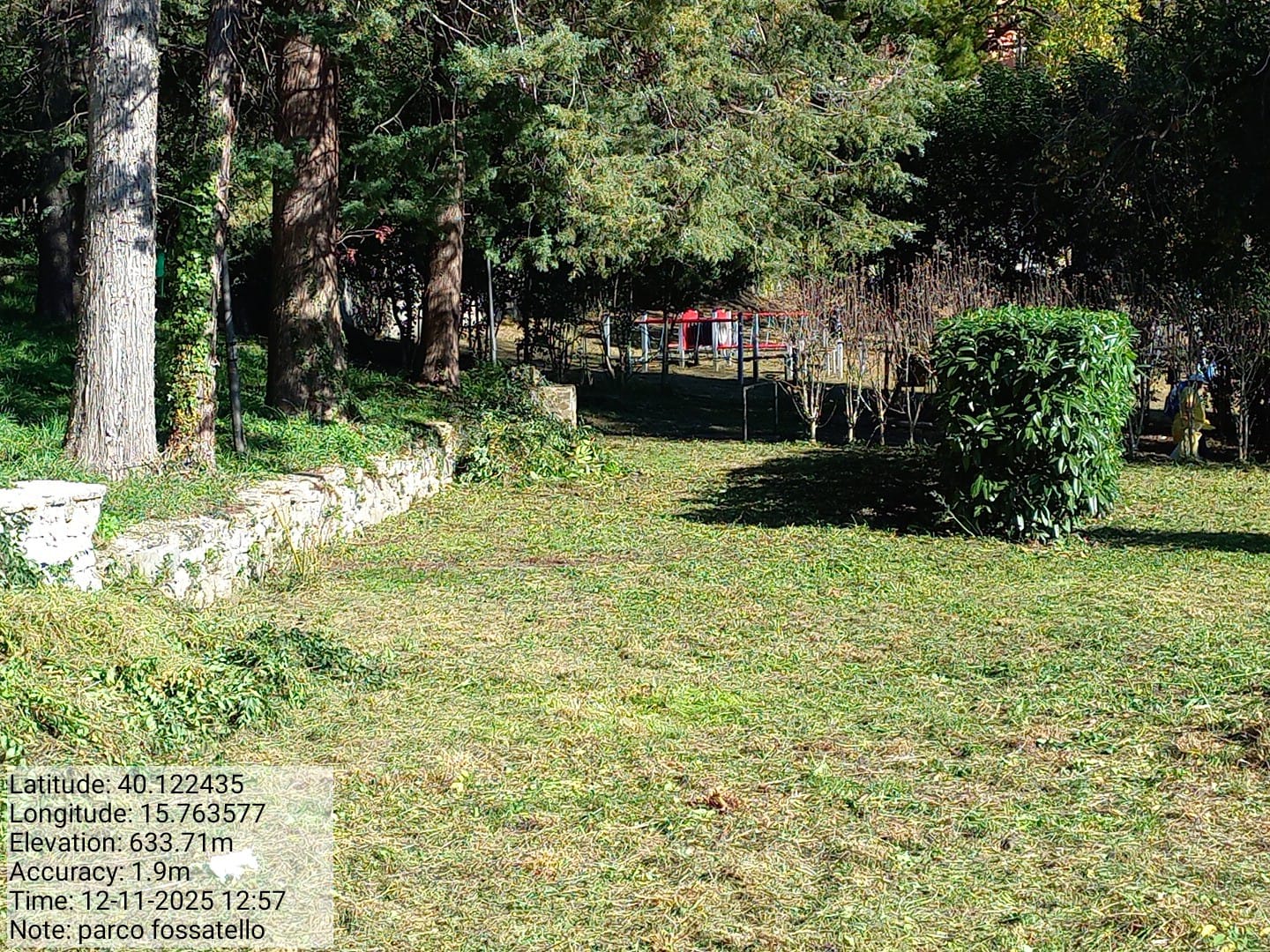 Galleria Fotografica Immagine