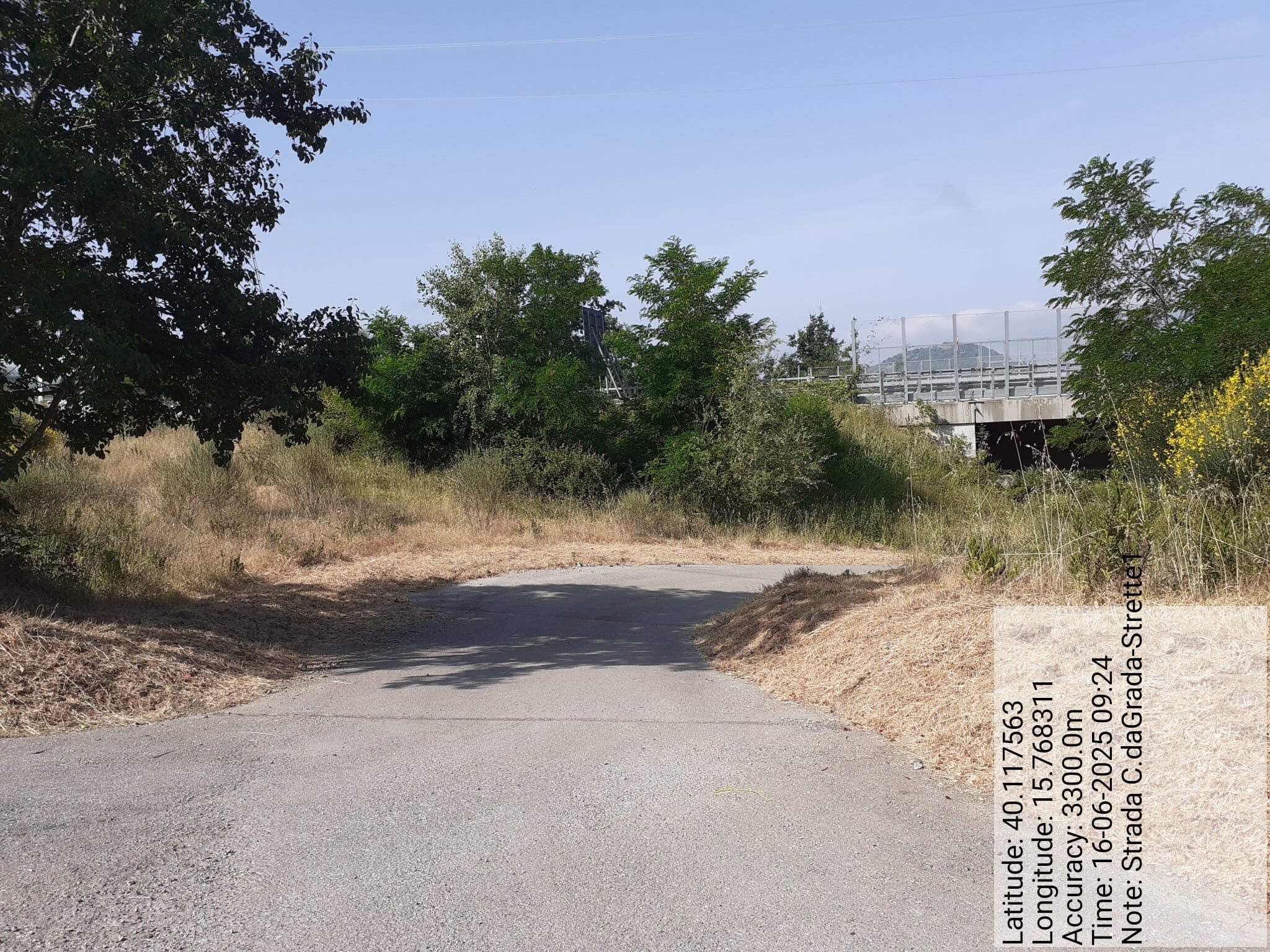 Galleria Fotografica Immagine