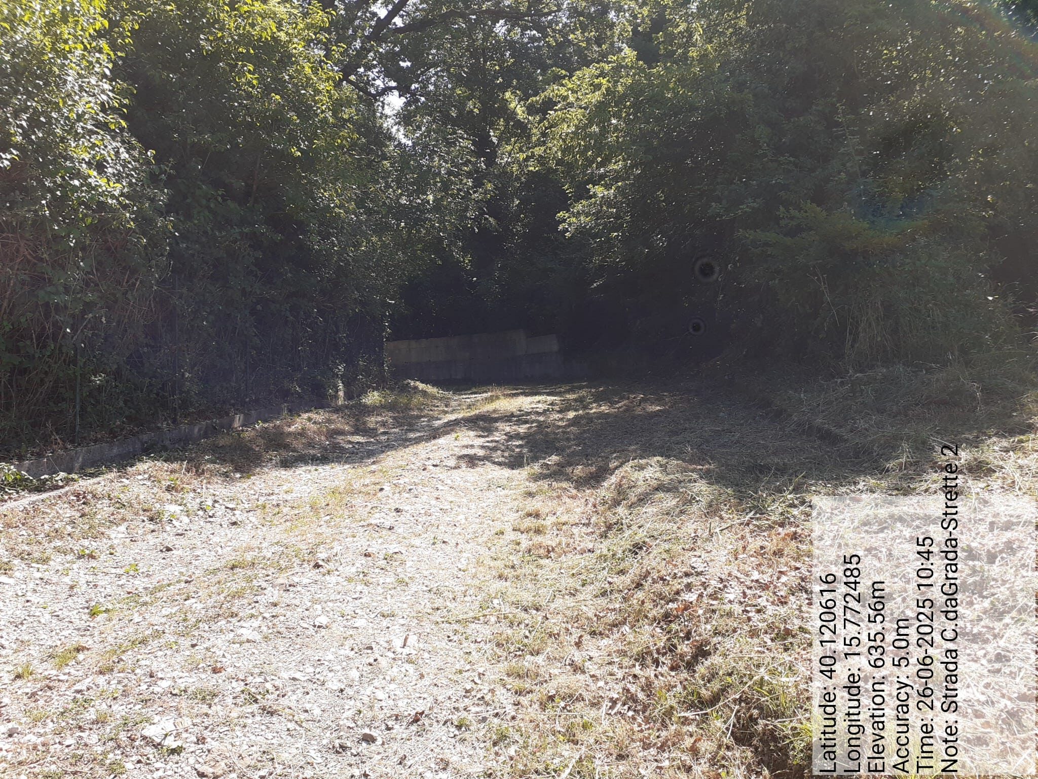 Galleria Fotografica Immagine