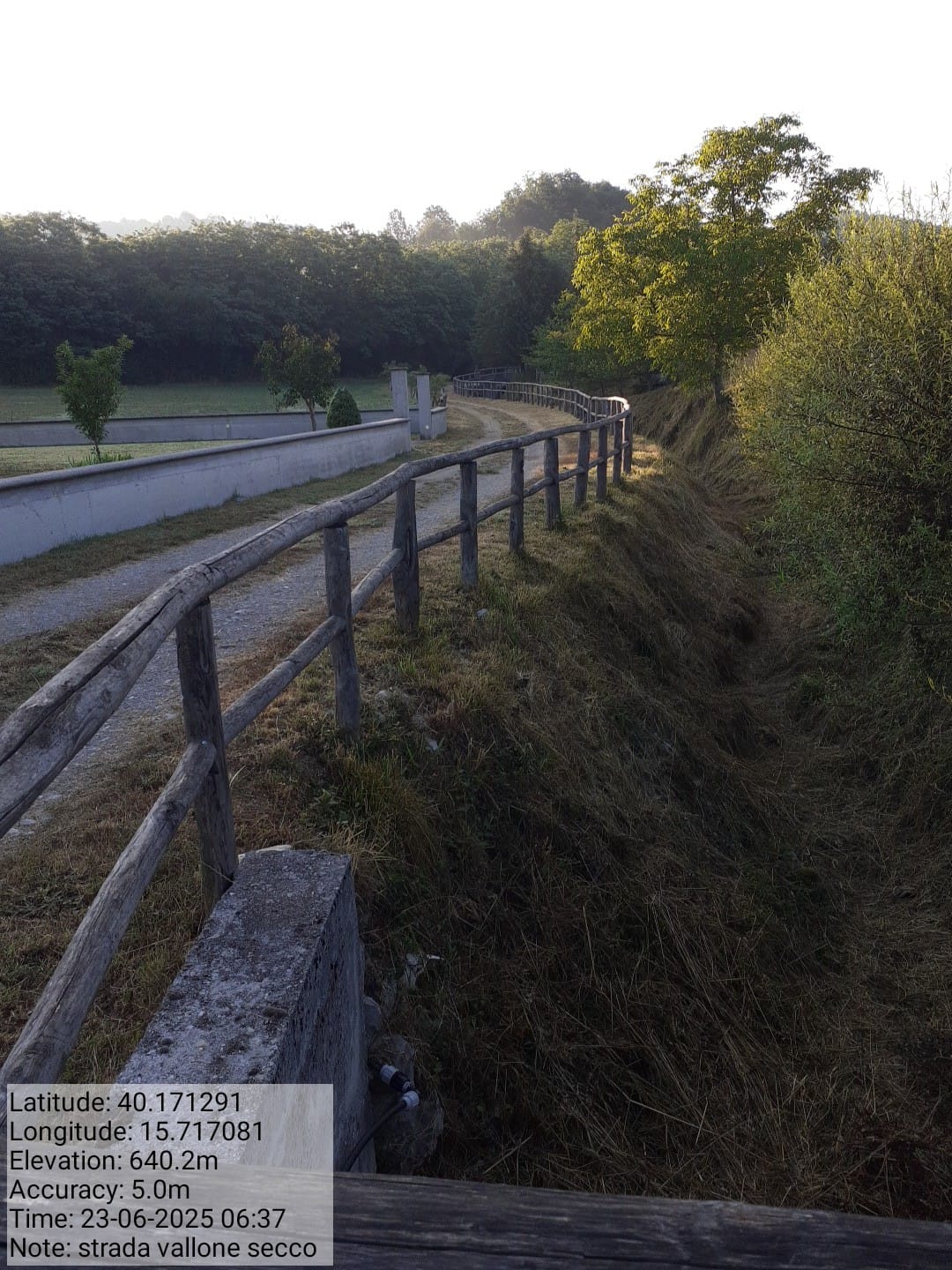 Galleria Fotografica Immagine