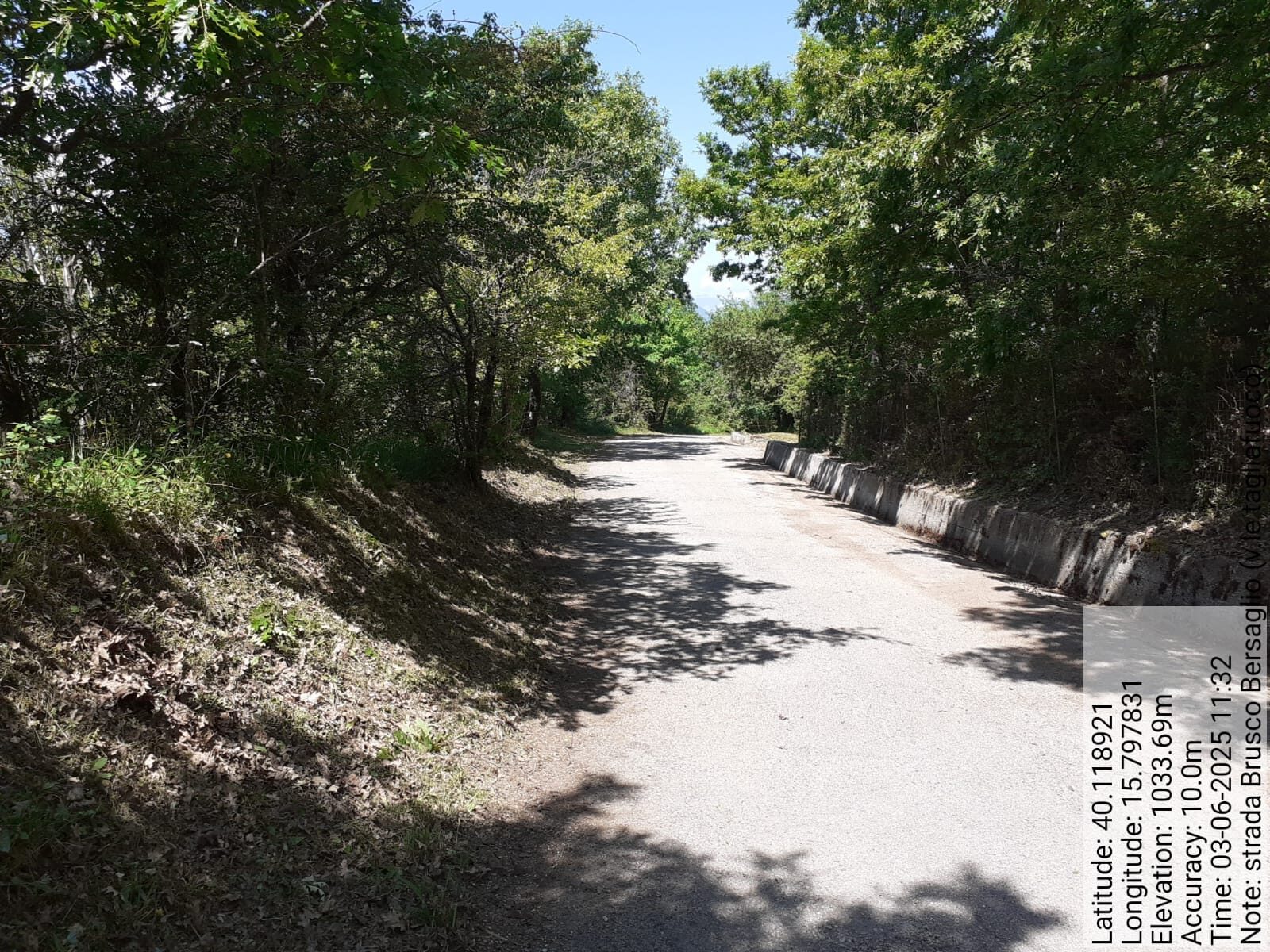 Galleria Fotografica Immagine