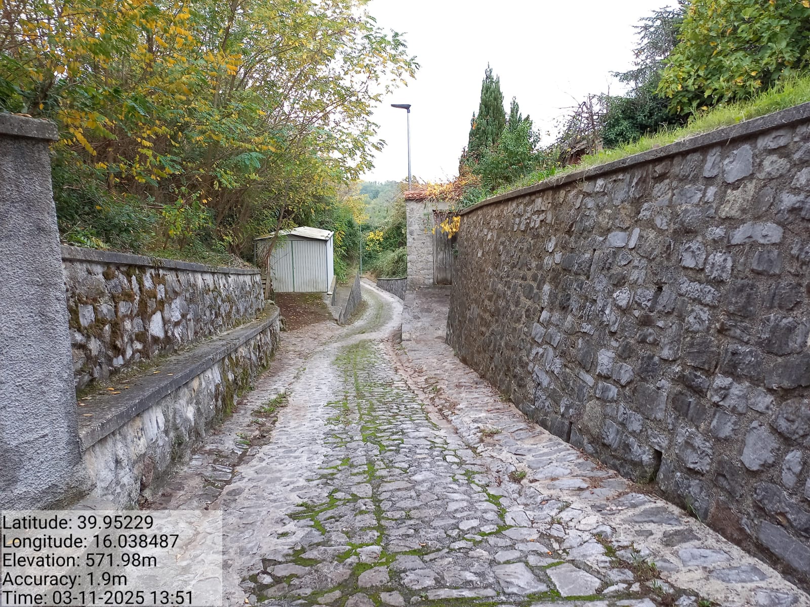 Galleria Fotografica Immagine