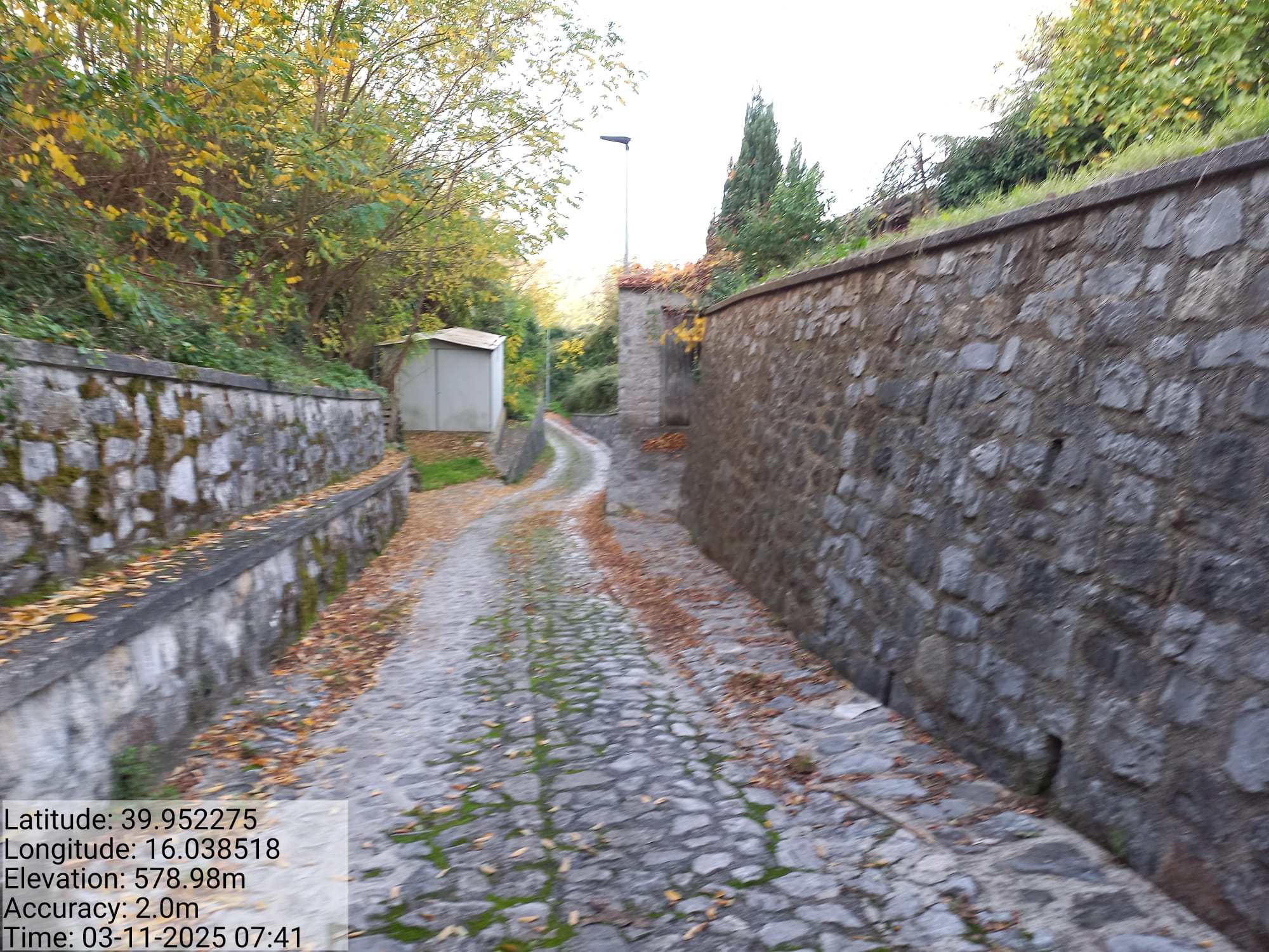 Galleria Fotografica Immagine