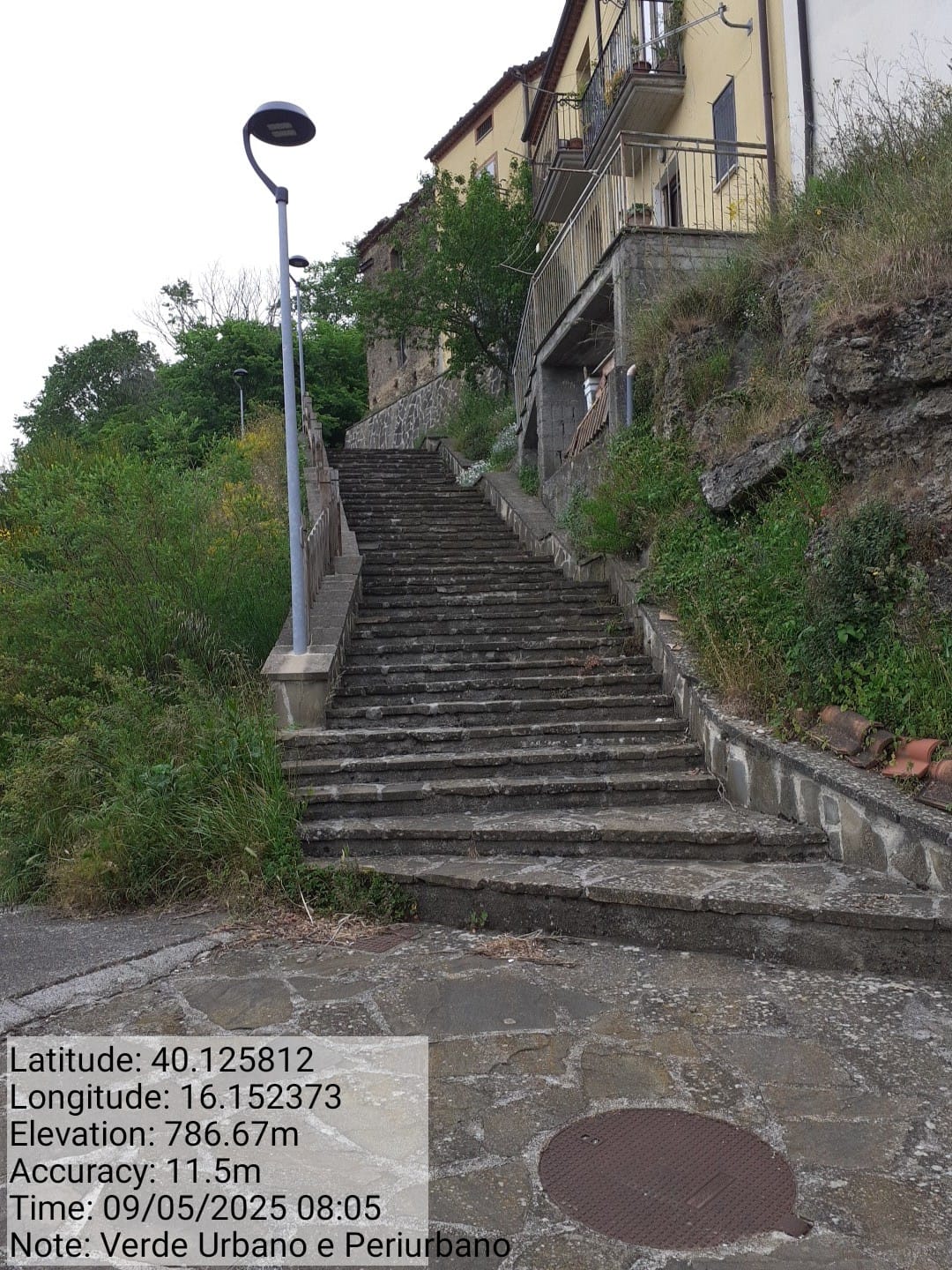 Galleria Fotografica Immagine