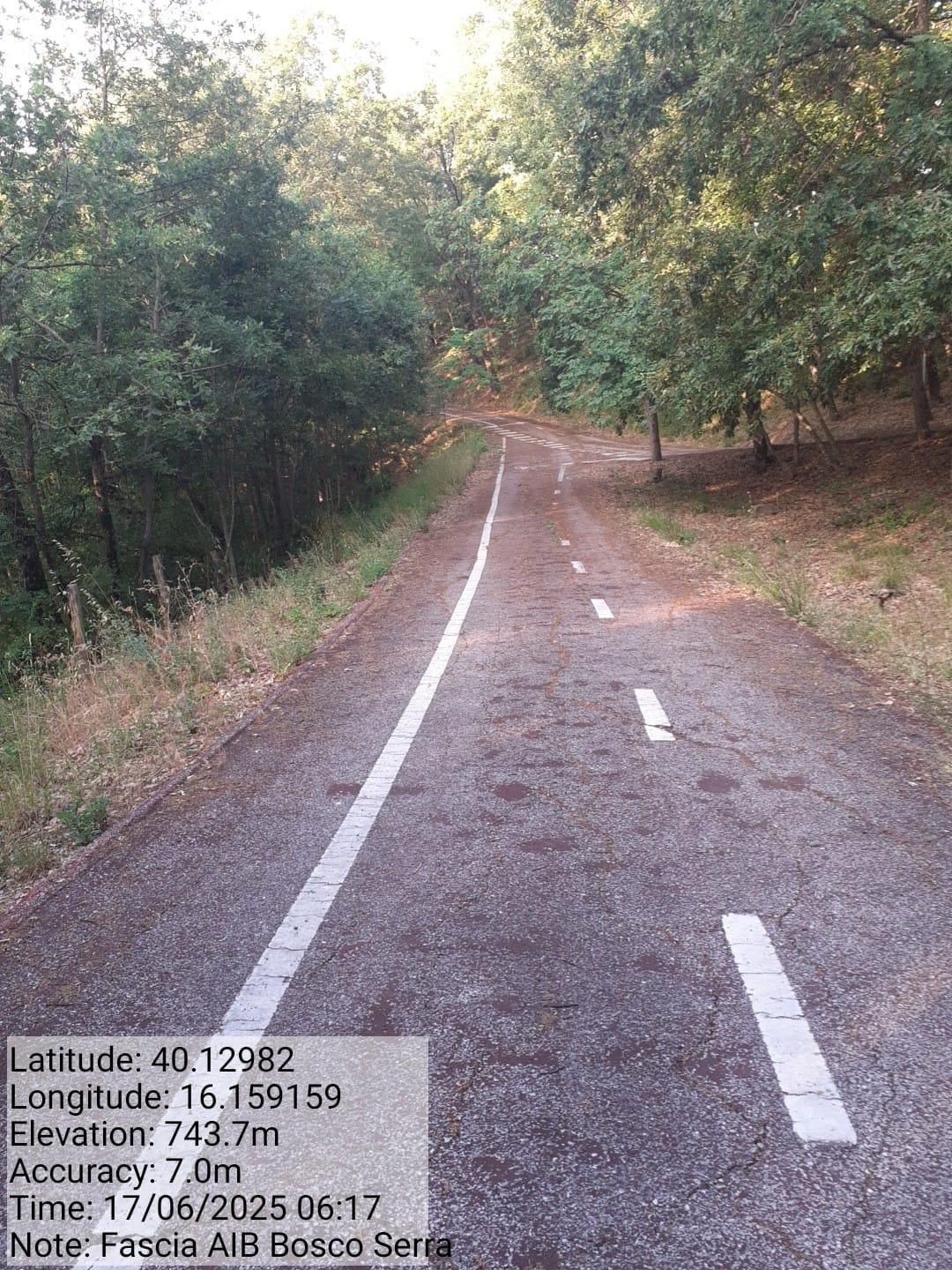 Galleria Fotografica Immagine