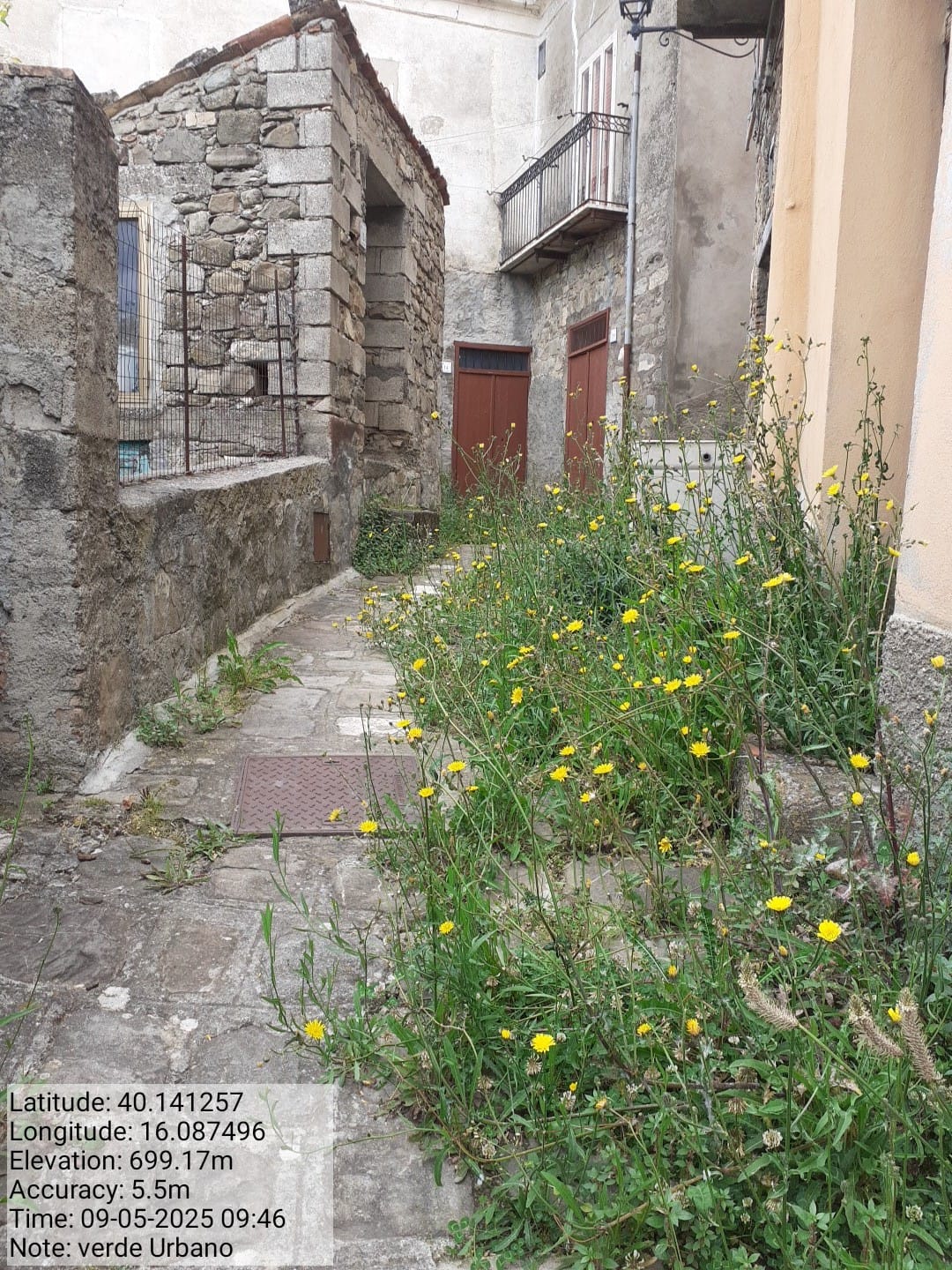 Galleria Fotografica Immagine