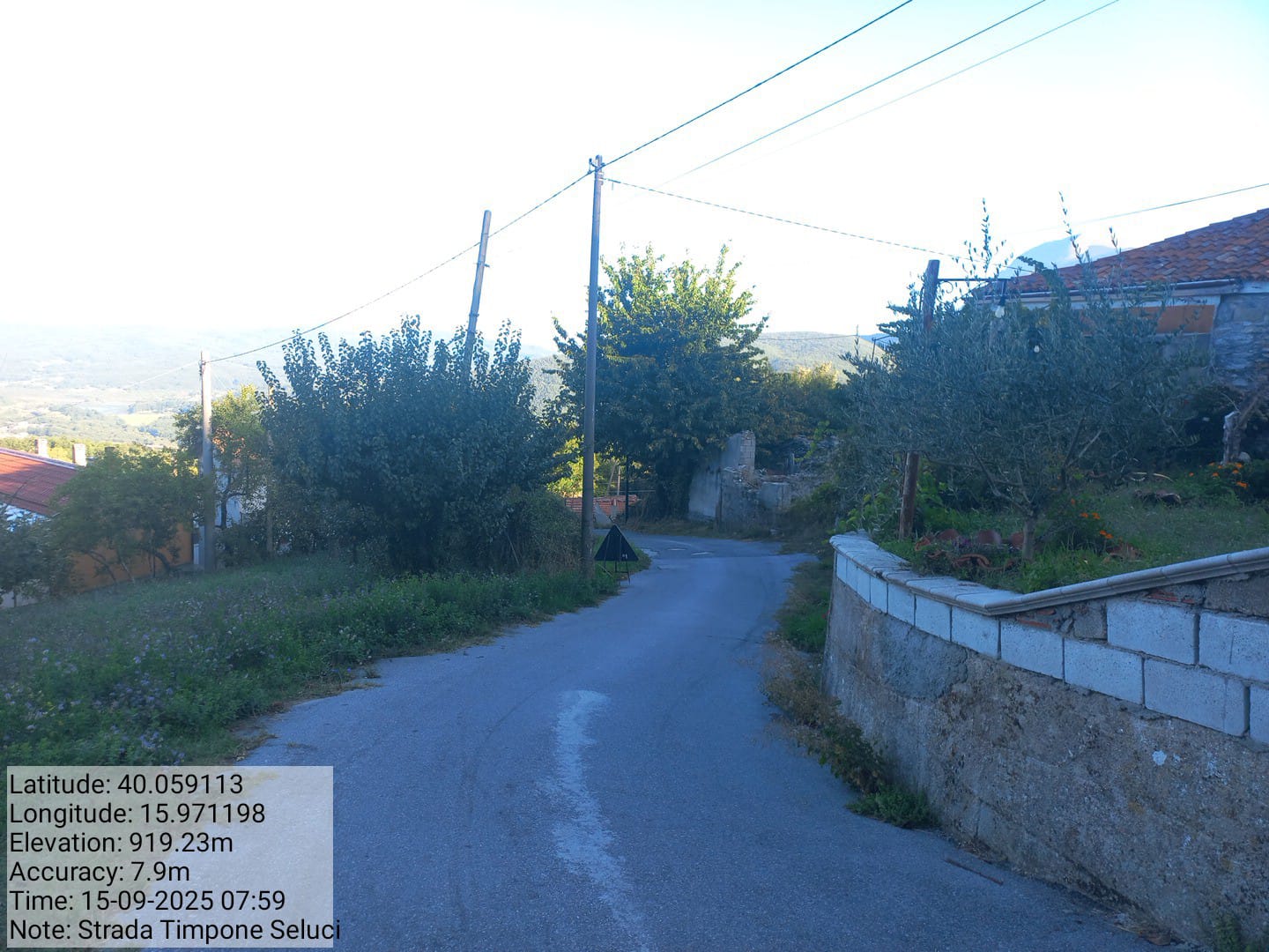 Galleria Fotografica Immagine