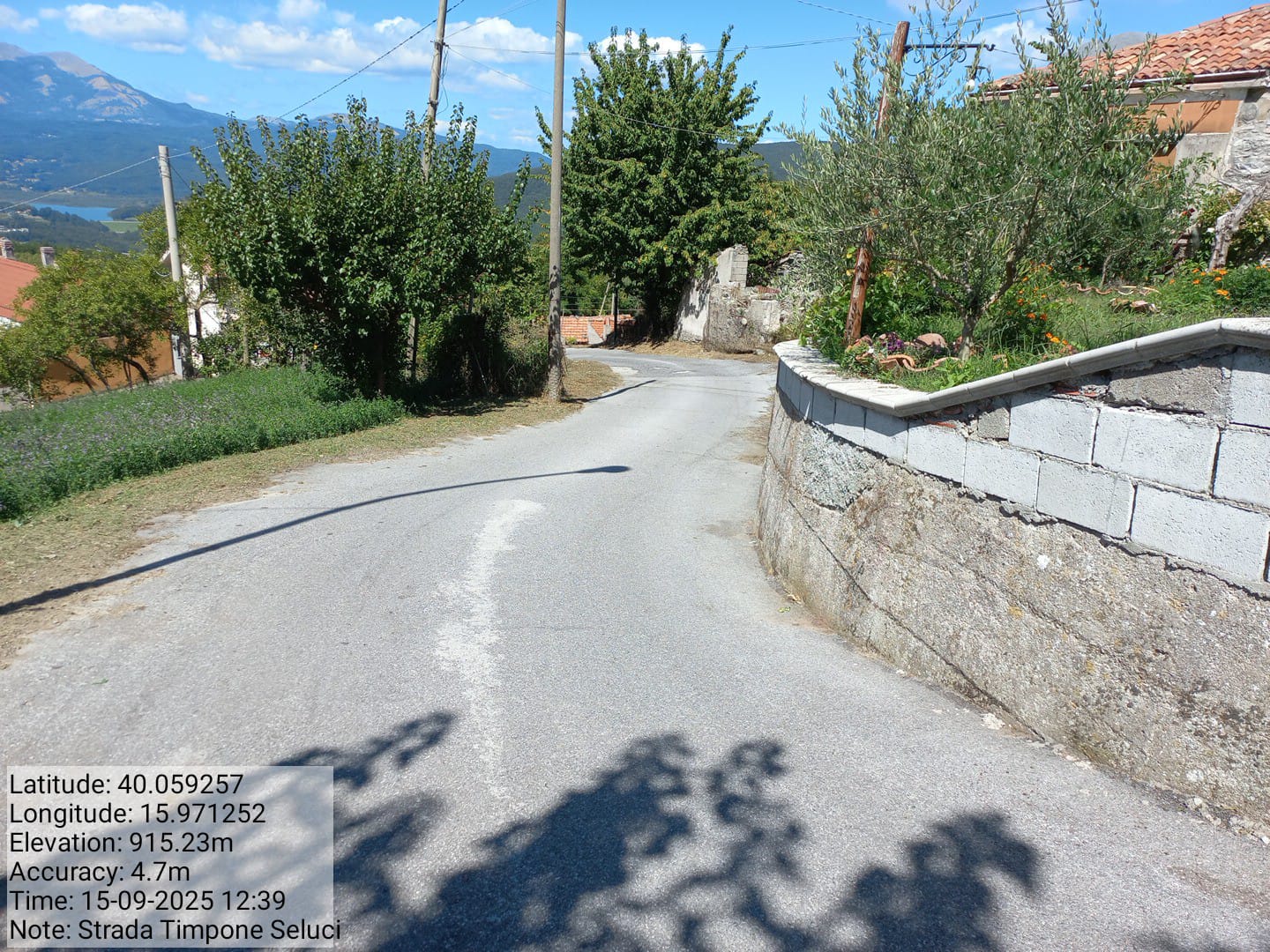 Galleria Fotografica Immagine